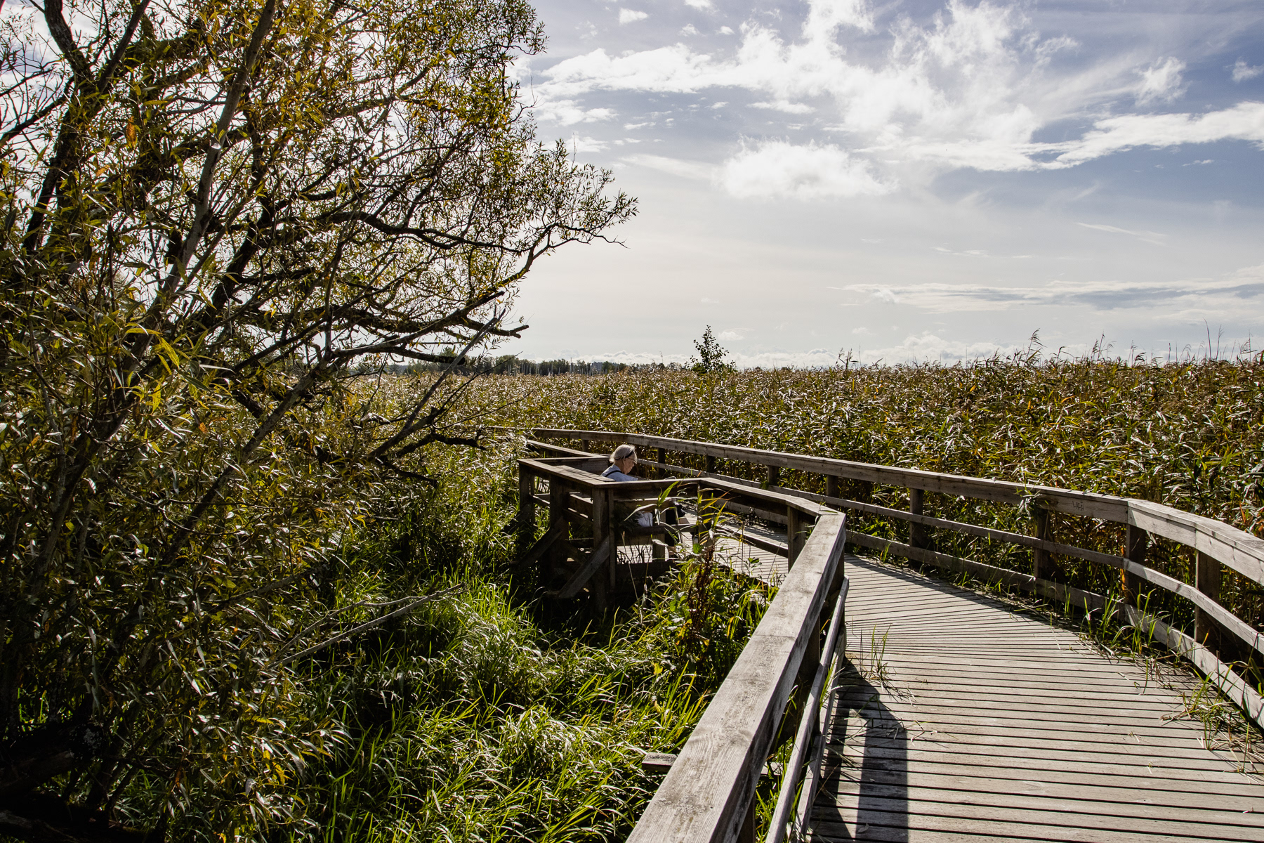 At lake Ekoln, September 2025.