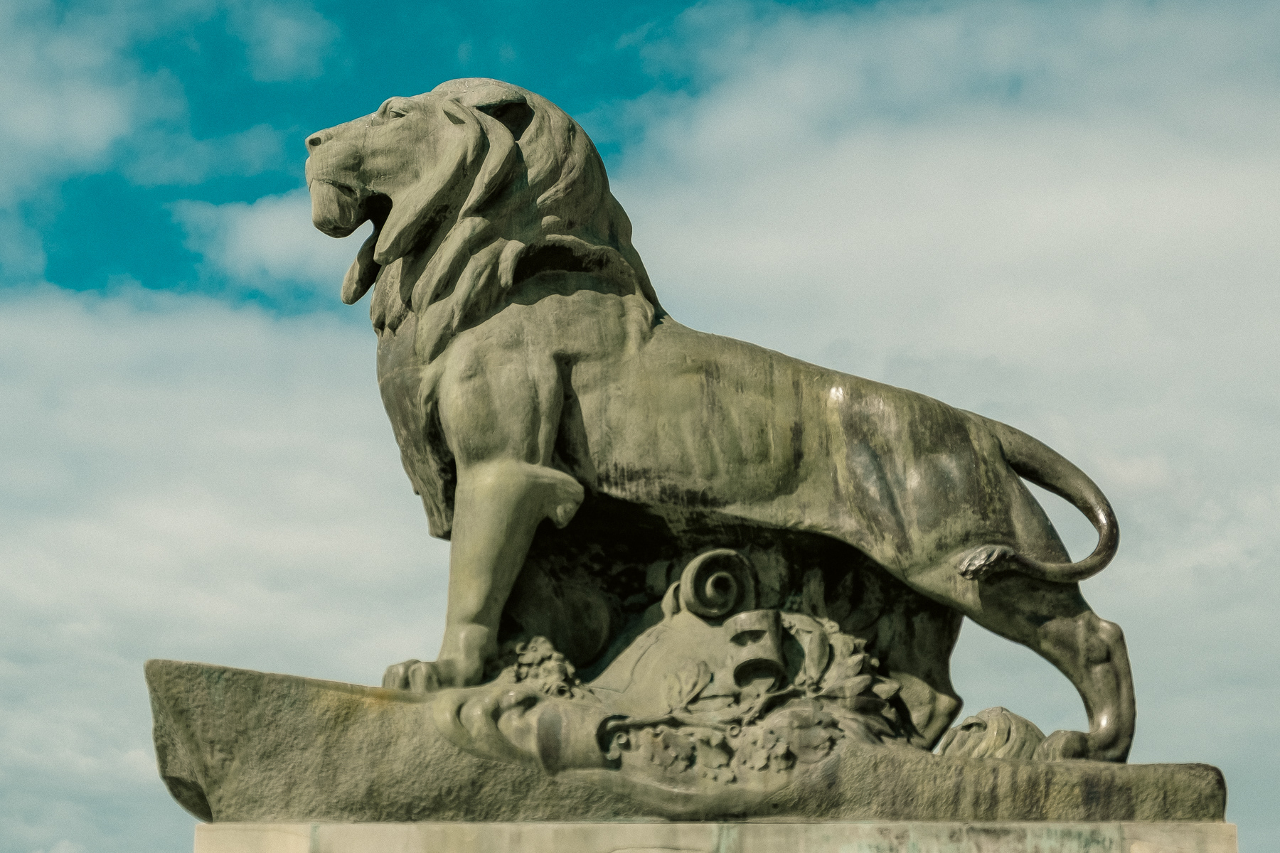 With this lion and his brothers keeping a watchful eye.
