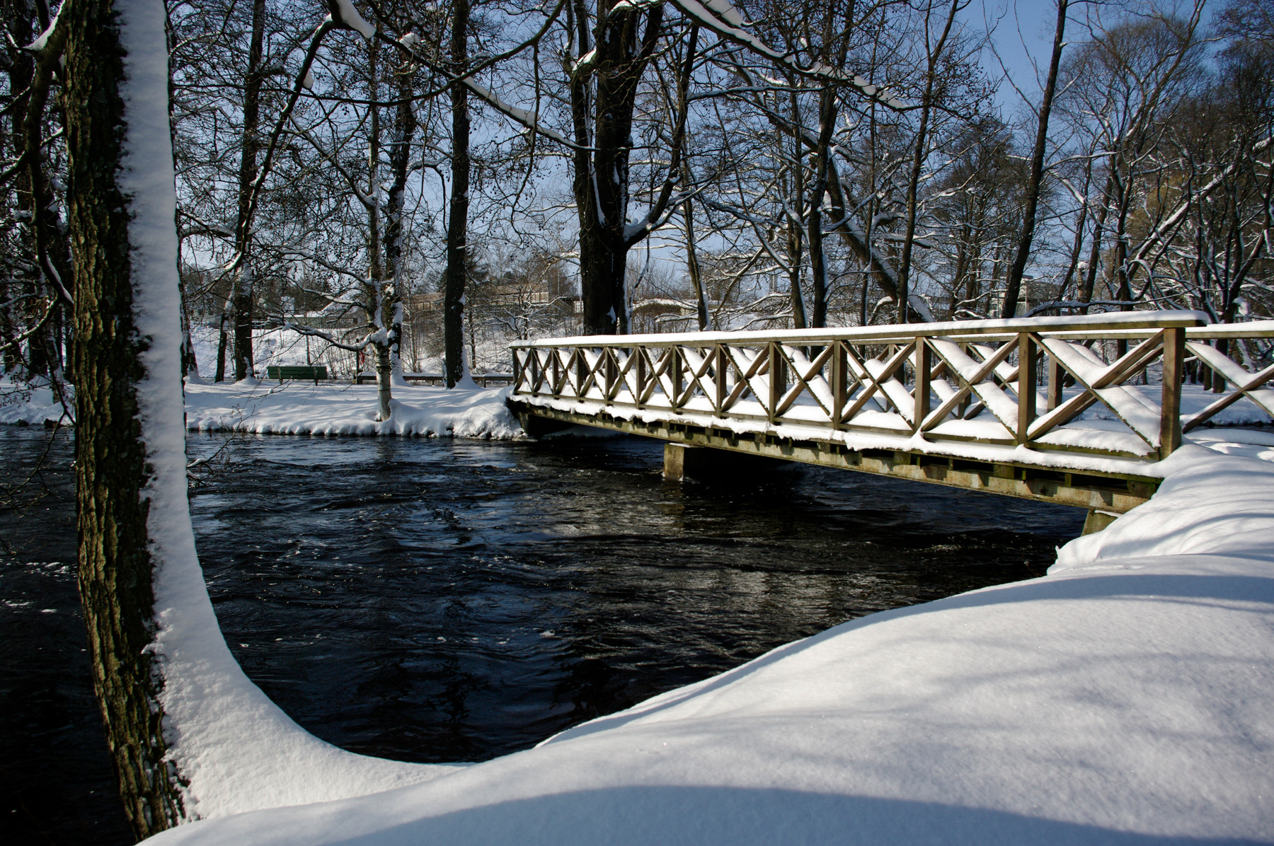 Bolougnerskogen, March 2008.
