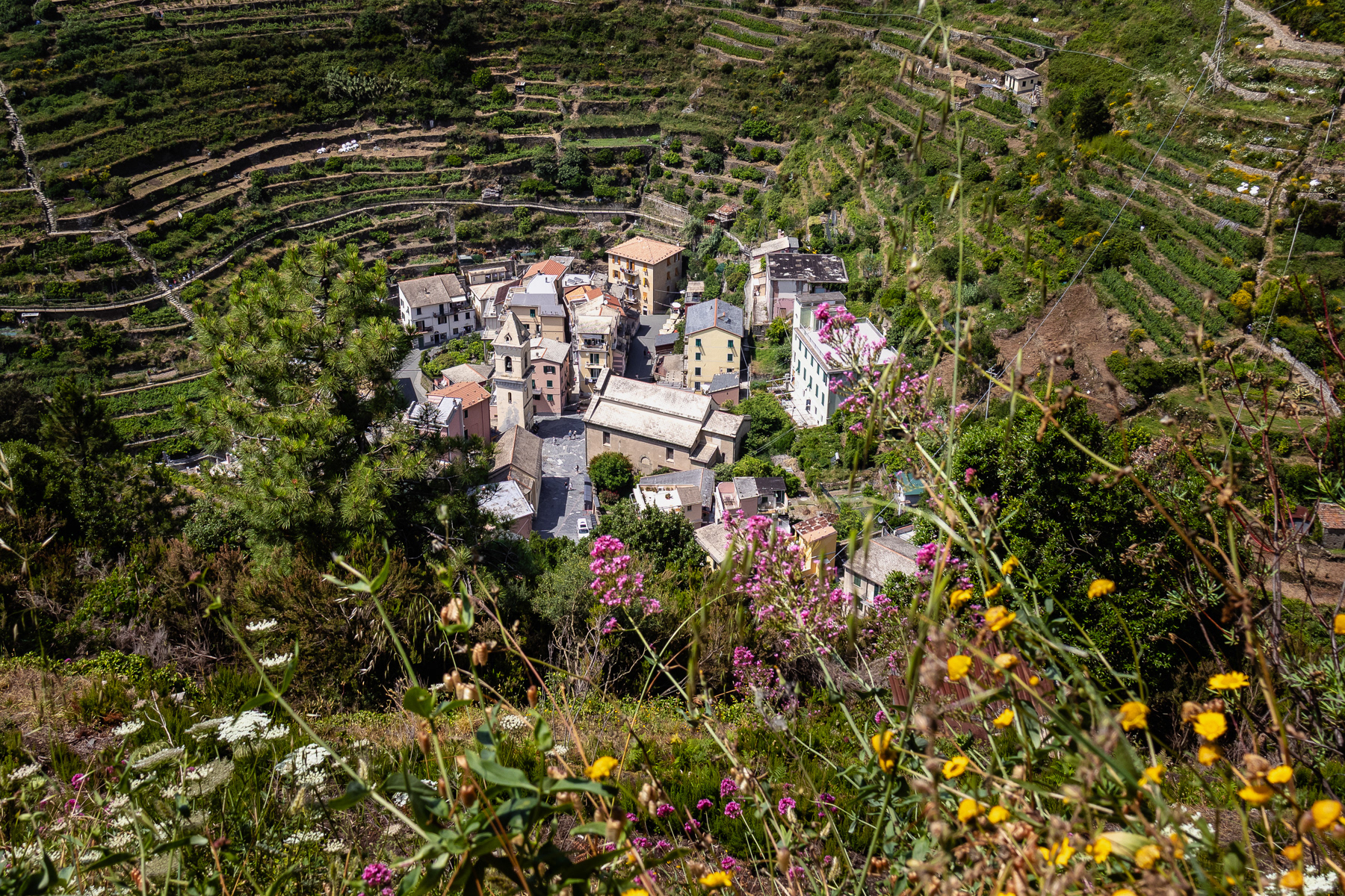 The eastern part of Manarola.