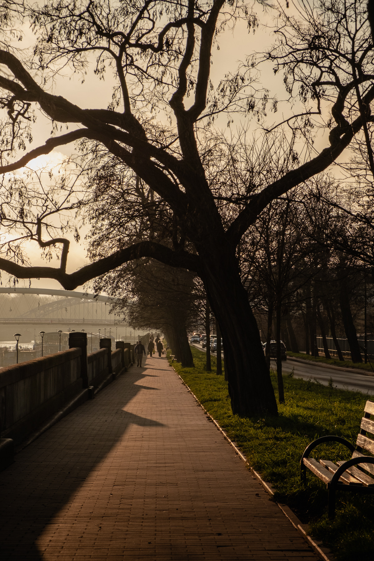 Footpath overlooking the Wisła (Vistula) river on a late December 2025 day.
