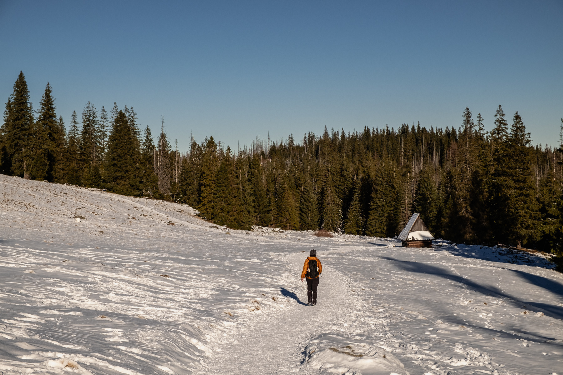On the trail to Rusinowa Polana, December 2025.