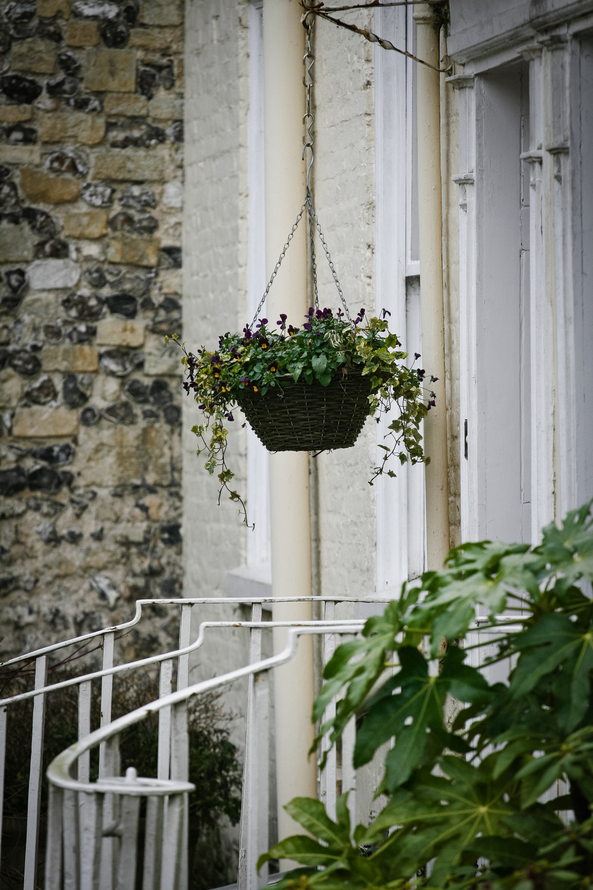 Hanging plant detail.
