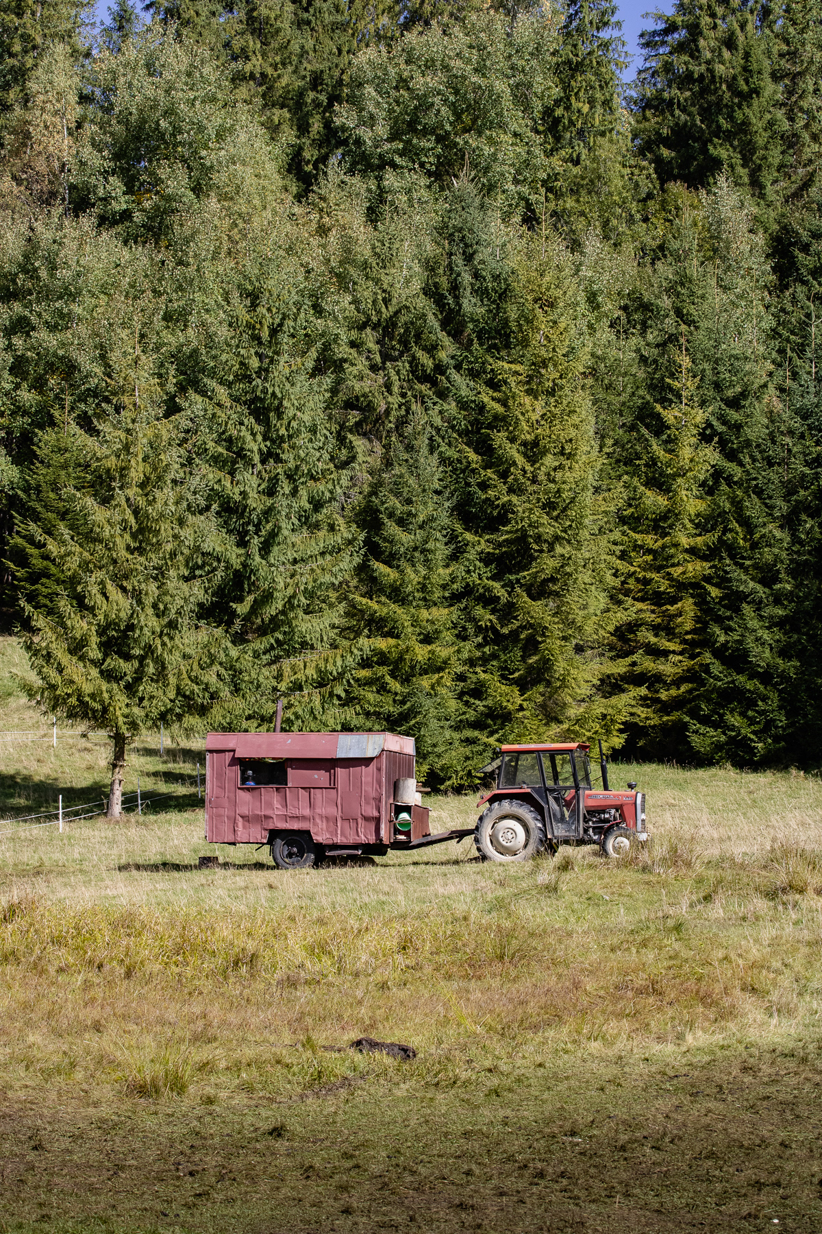 A red tractor in the field.
