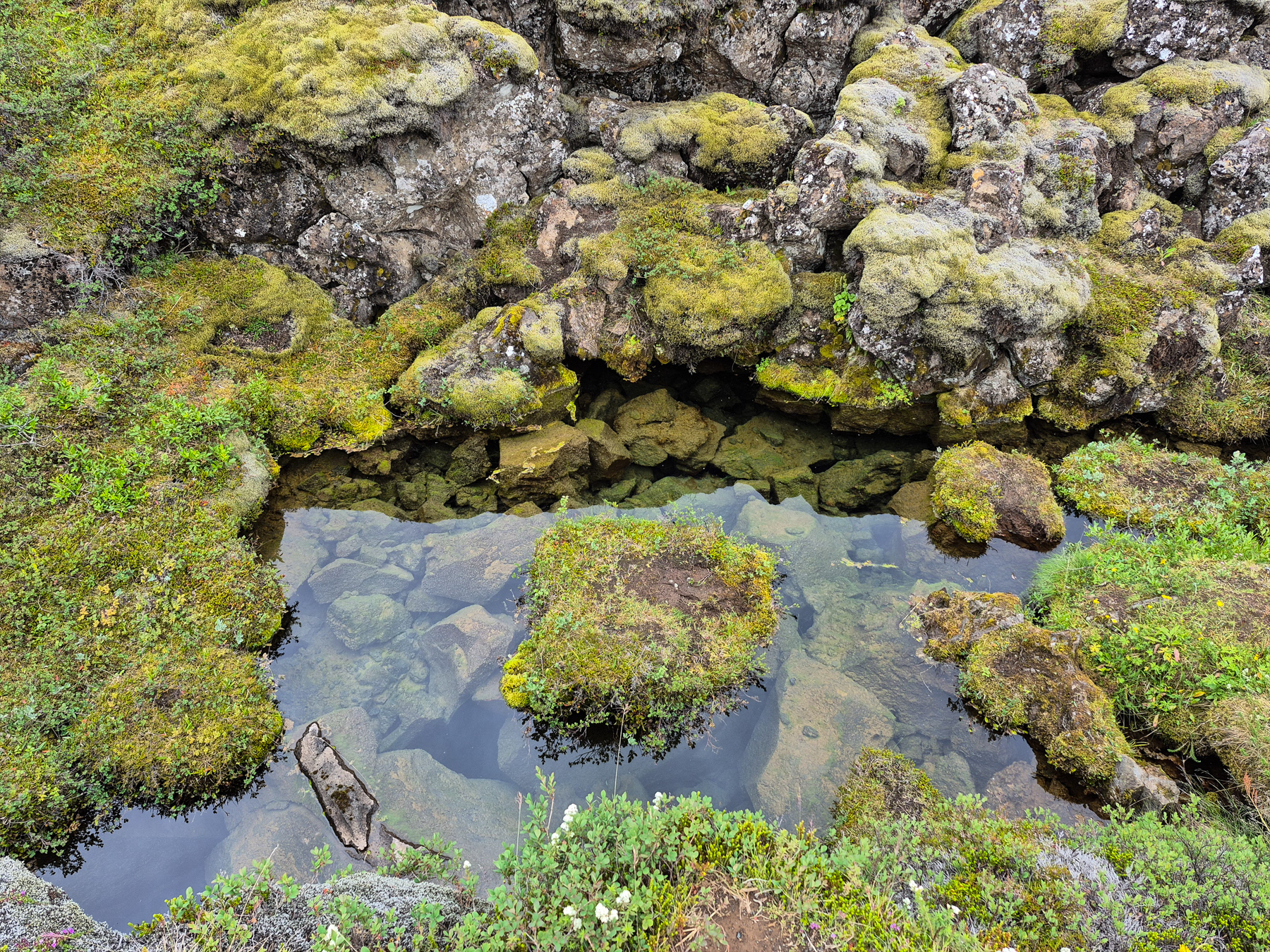 A rocky and mysterious pond in Thingvellir National Park.