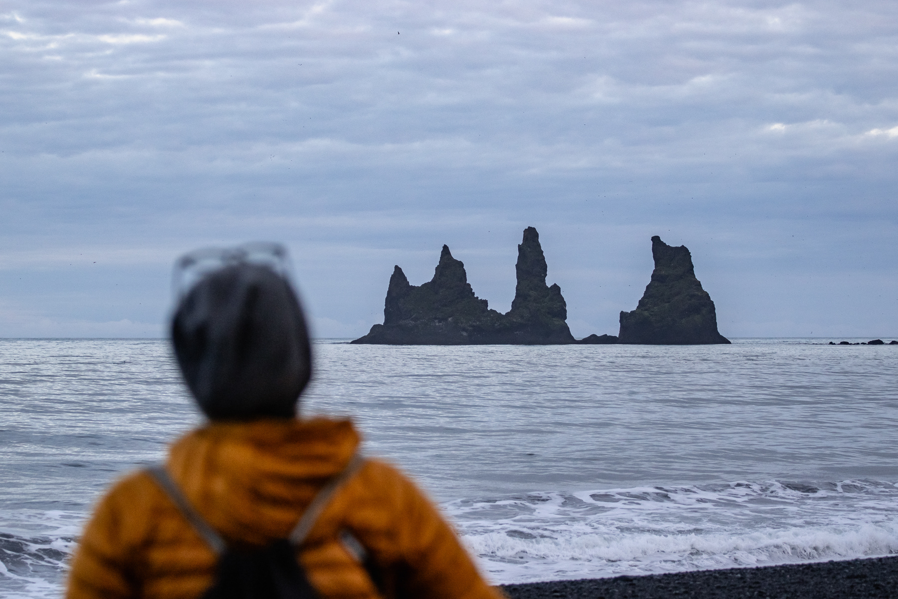 The famous pointy rocks of the Reyjnisfara Black Sand Beach