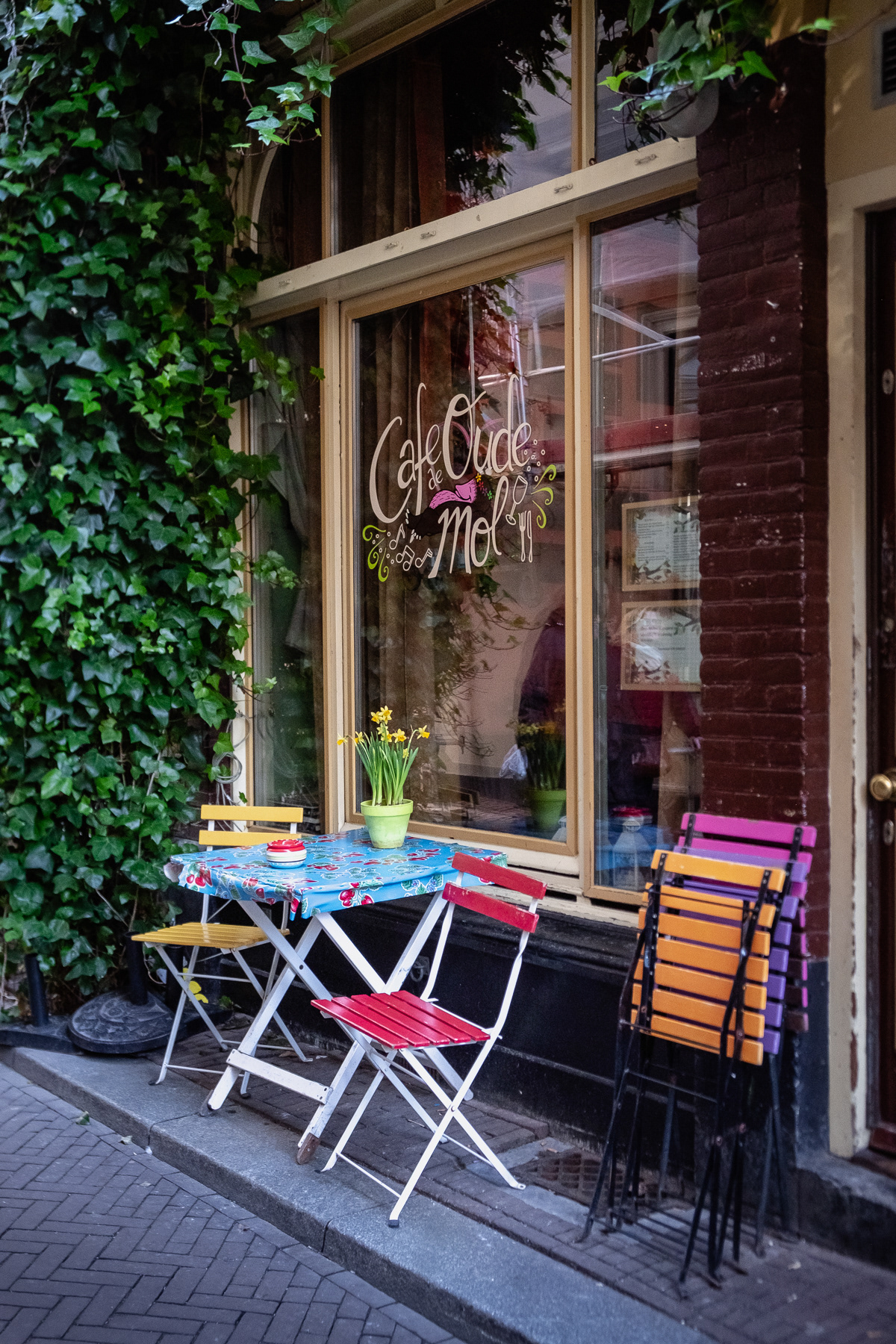 A cute café in the Hofkwartier area