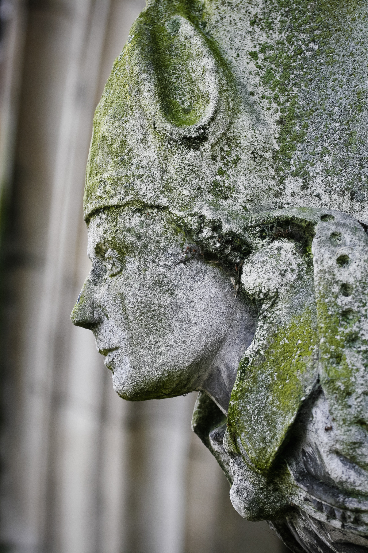 Close up of a stone detail on a historic building in Winchester.