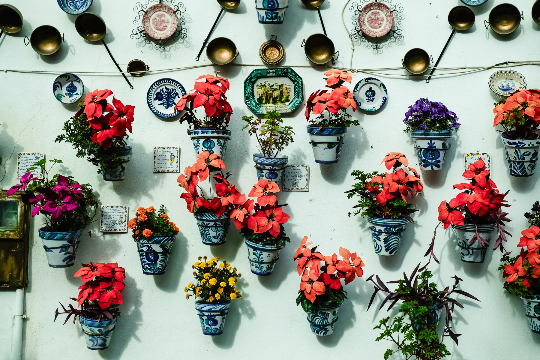 Pots and plates in different forms and colours