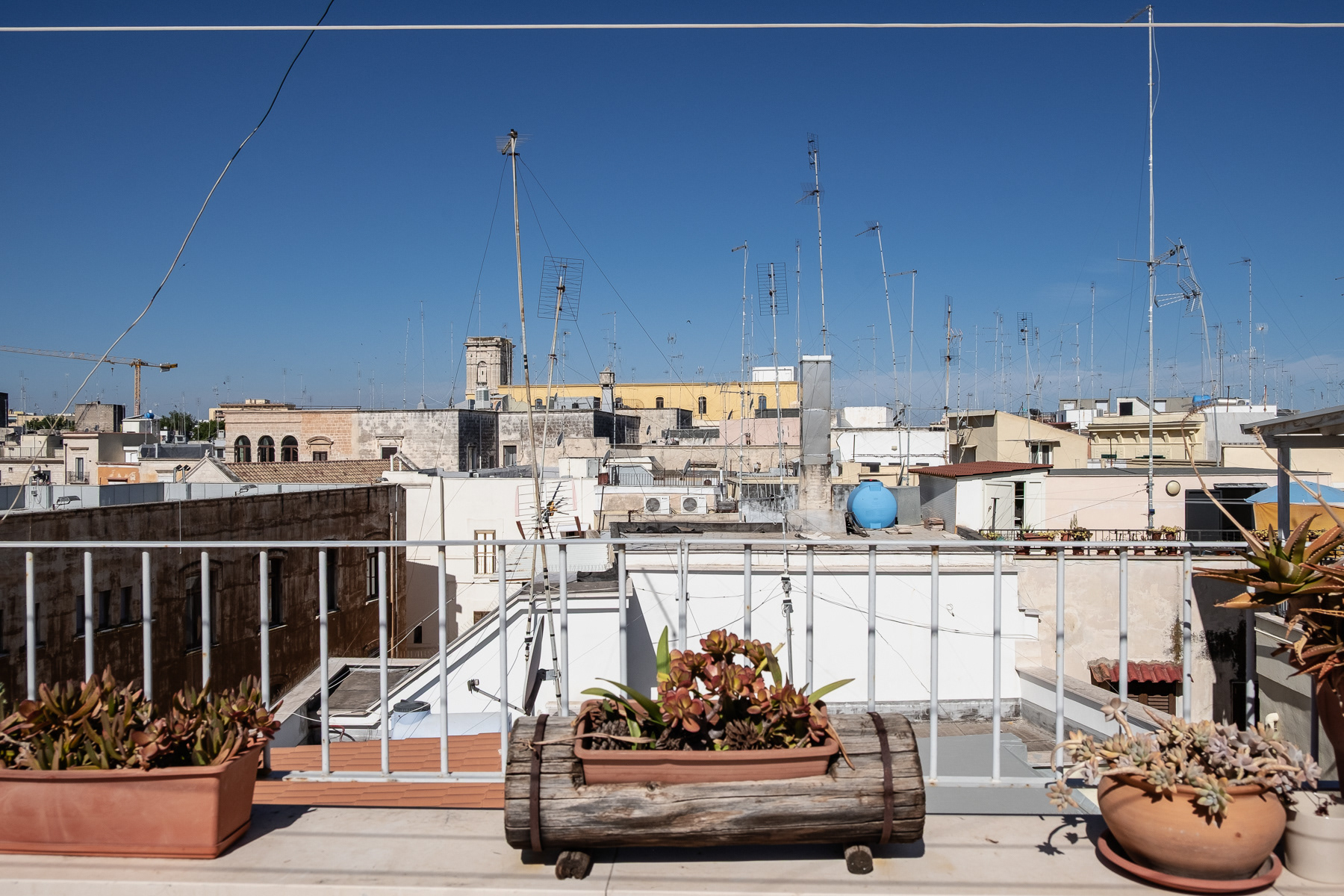 The rooftops of Bari's old town.