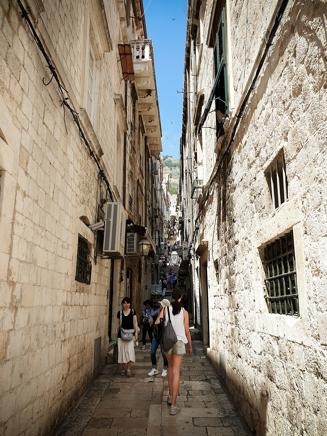 Ally towards the east, July 2019.