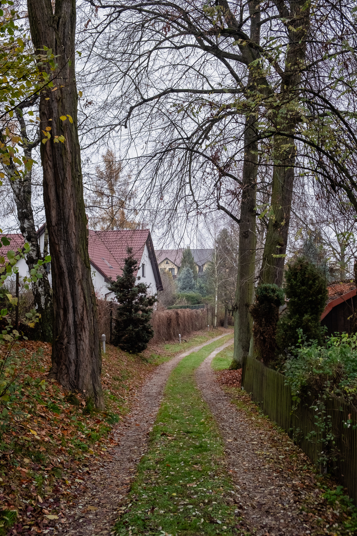 The path leading to the the Rydlówka.