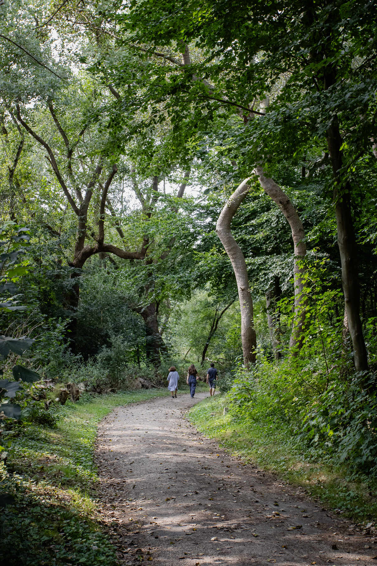 Nice walking trails