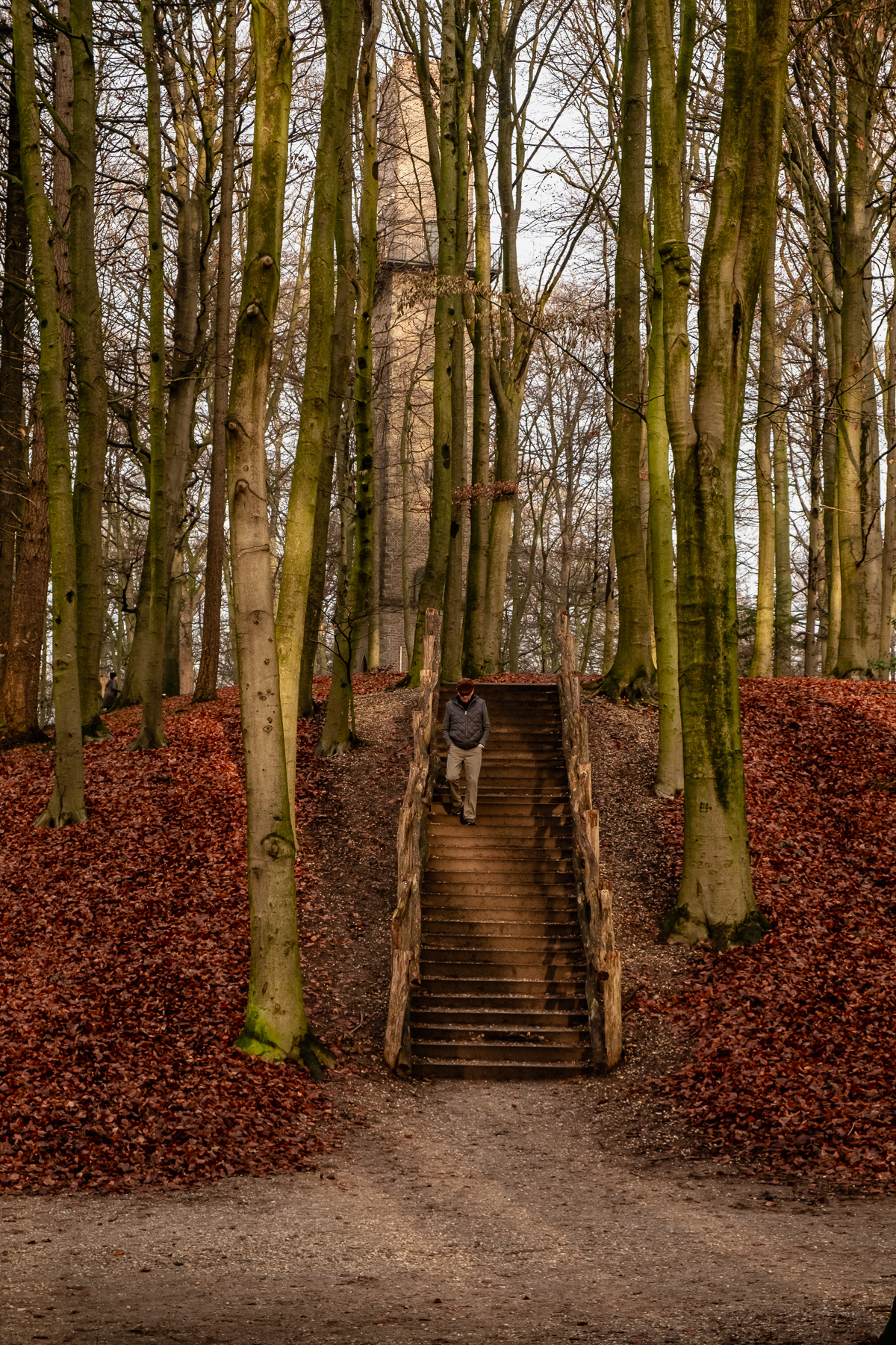 Autumn isn't over yet, Sonsbeek Park, Arnhem, December 2025.