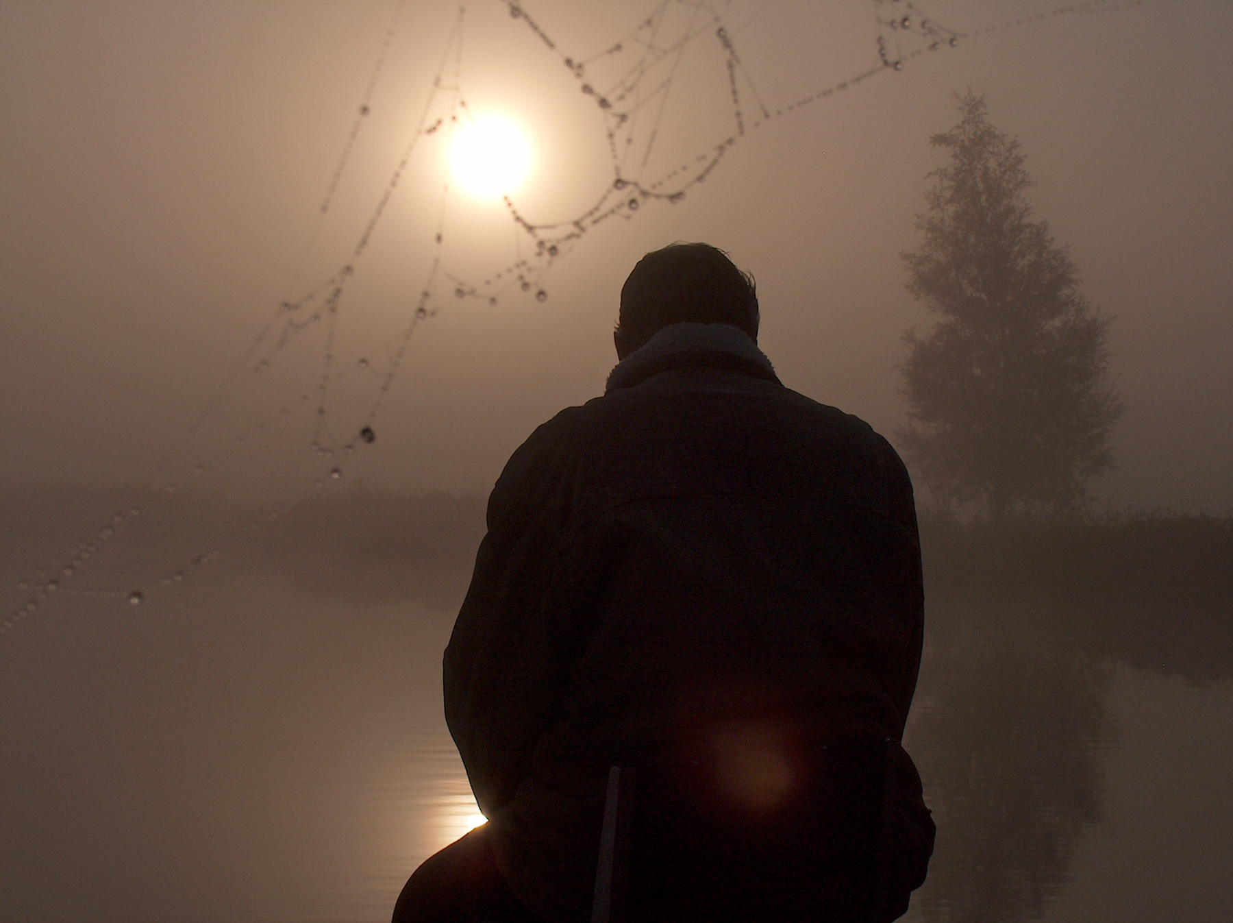 A lone fishermen and cobwebs.