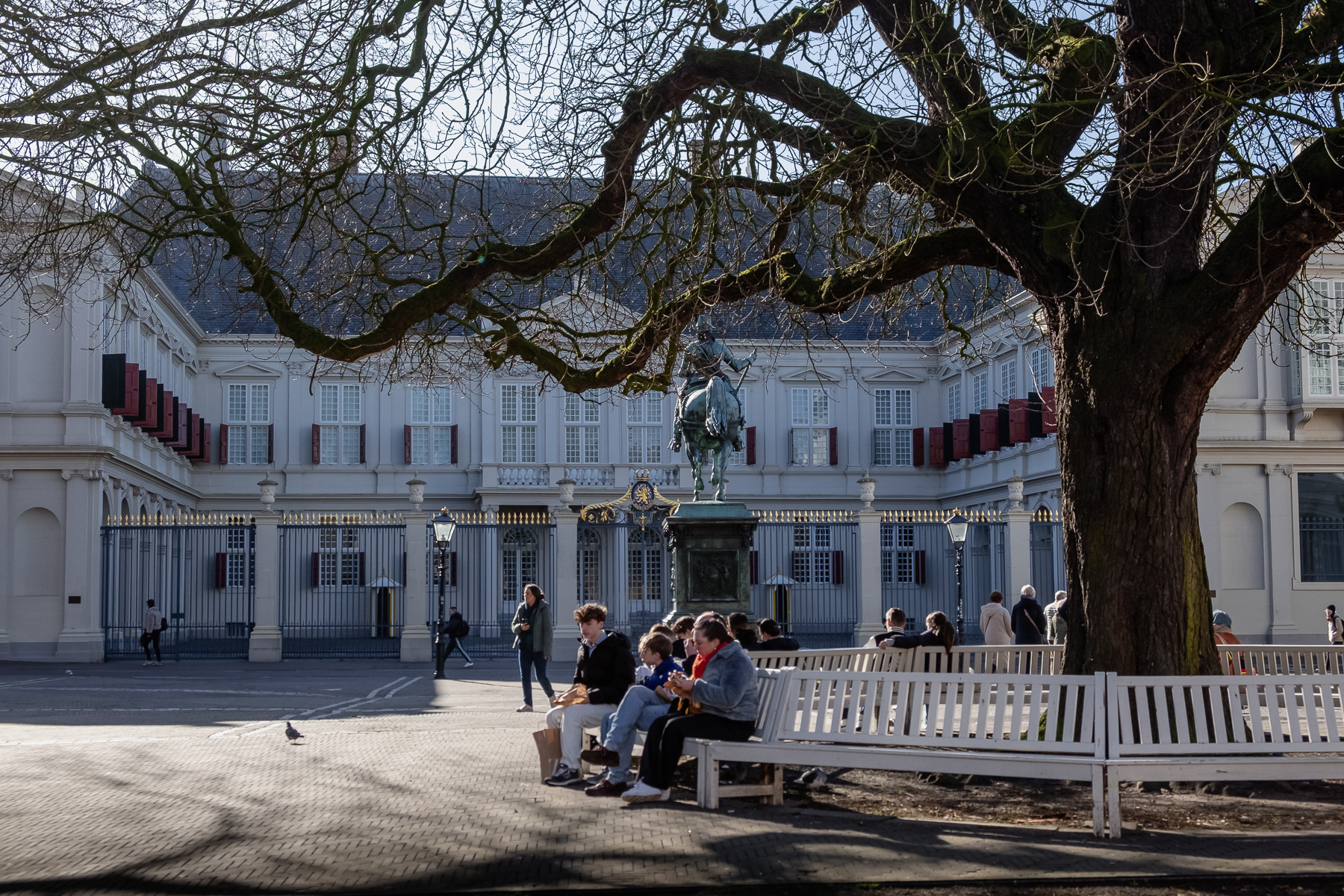 A spectaculair tree offers a nice seating area just in front of the royal palace.