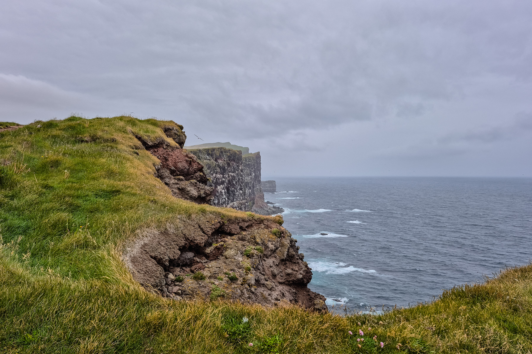 The Látrabjarg sea cliffs.