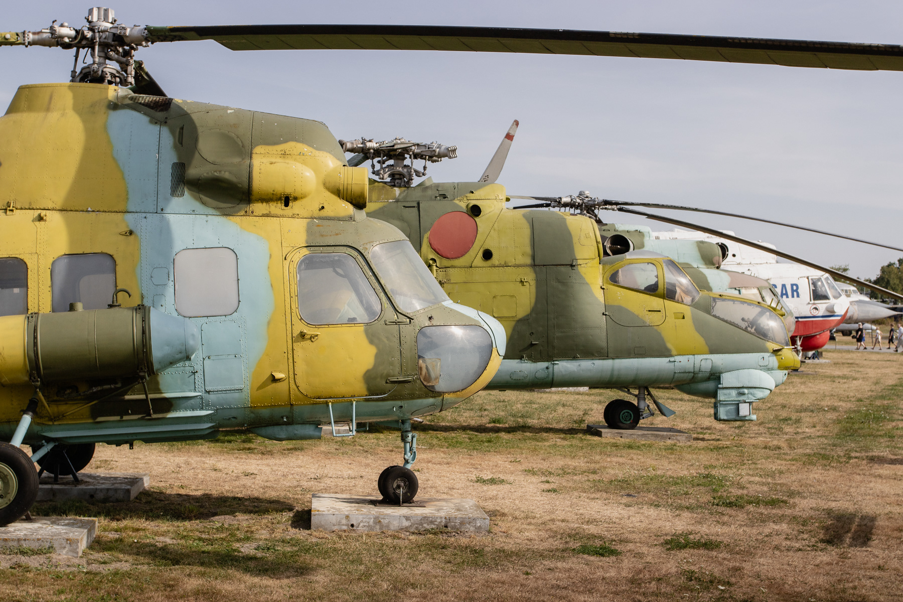 In front a Mi-2 followed by a Mi-24.