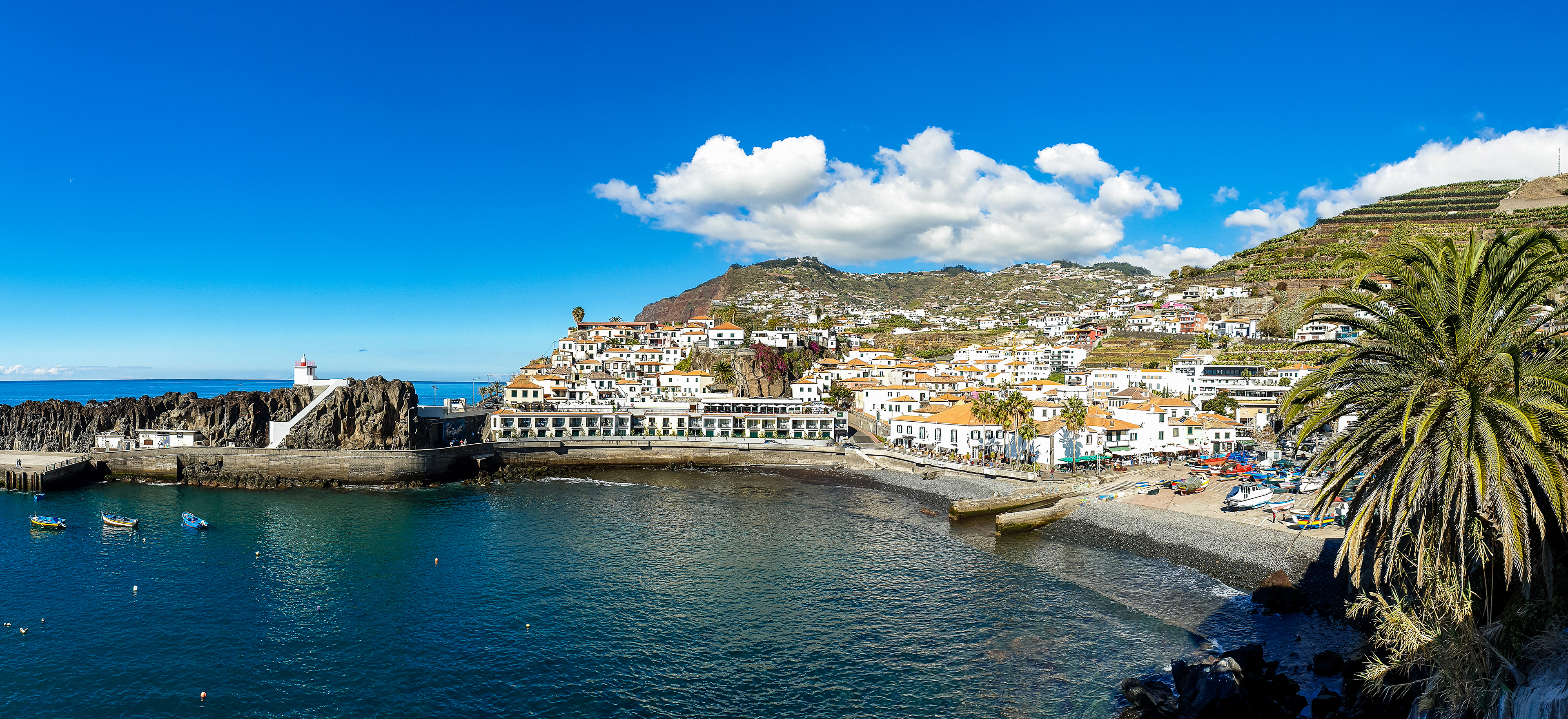 Camara de Lobos harbour
