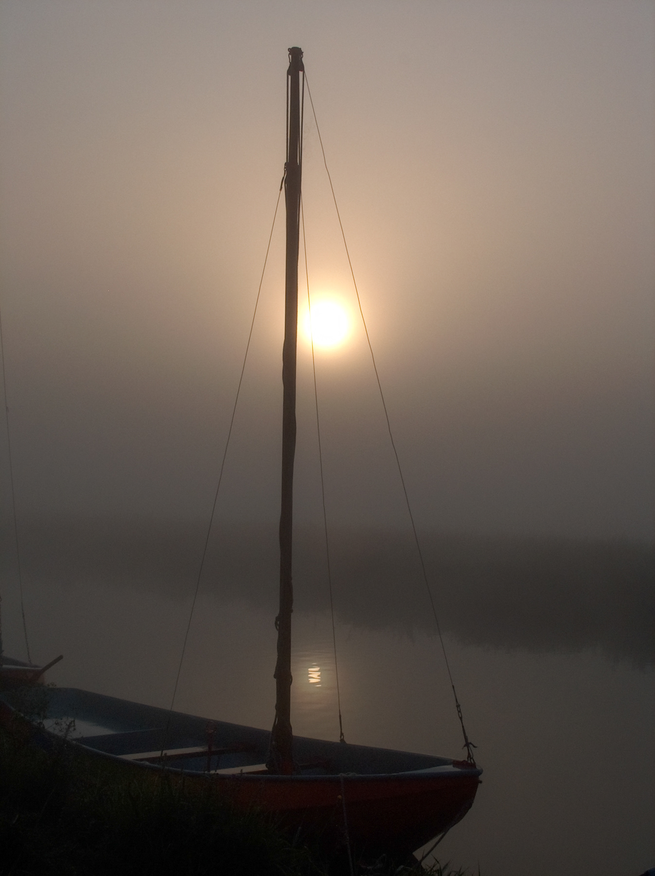 The sun slowly burning its way through the morning fog.