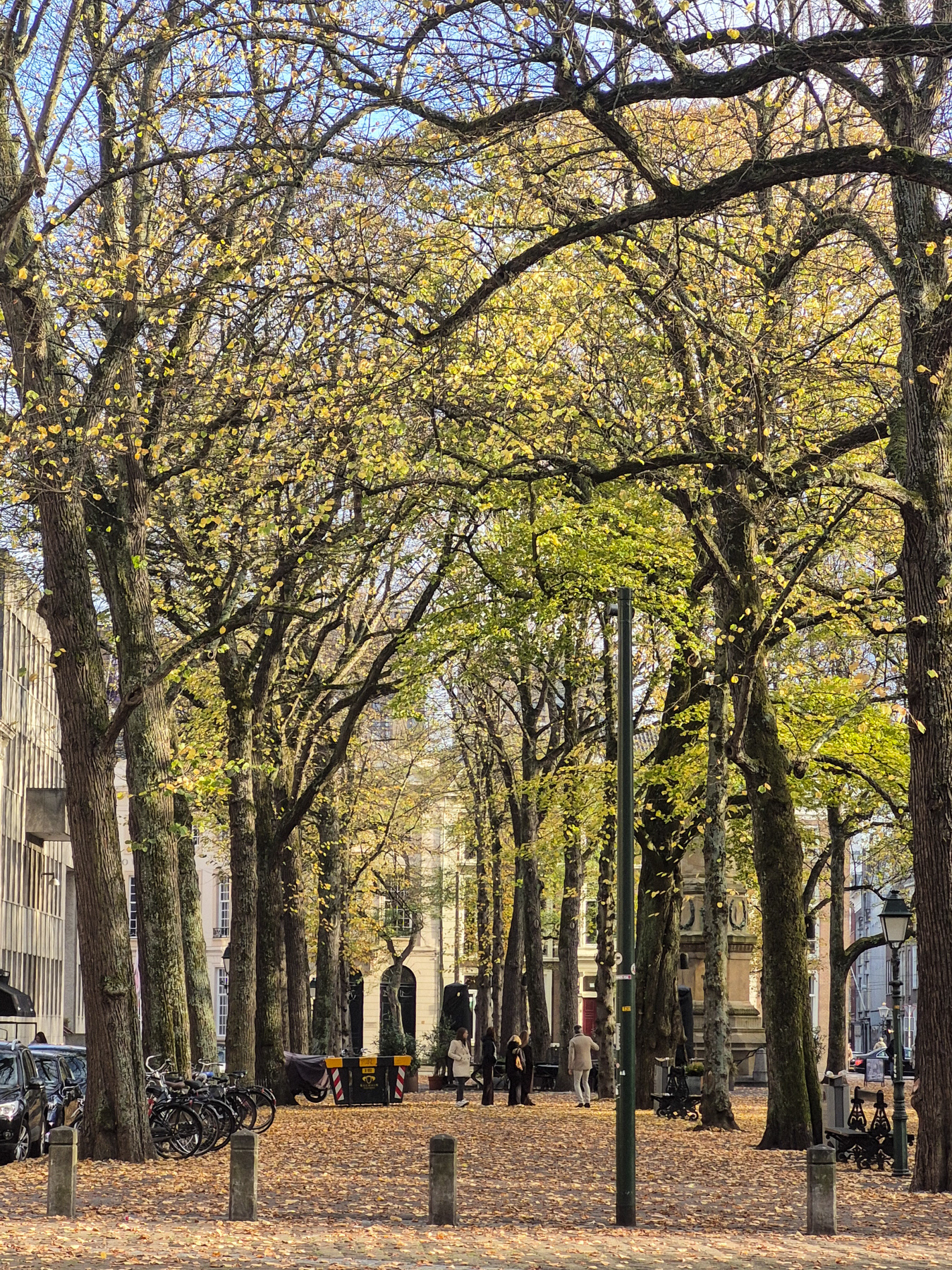 Lange Voorhout, October 2019.