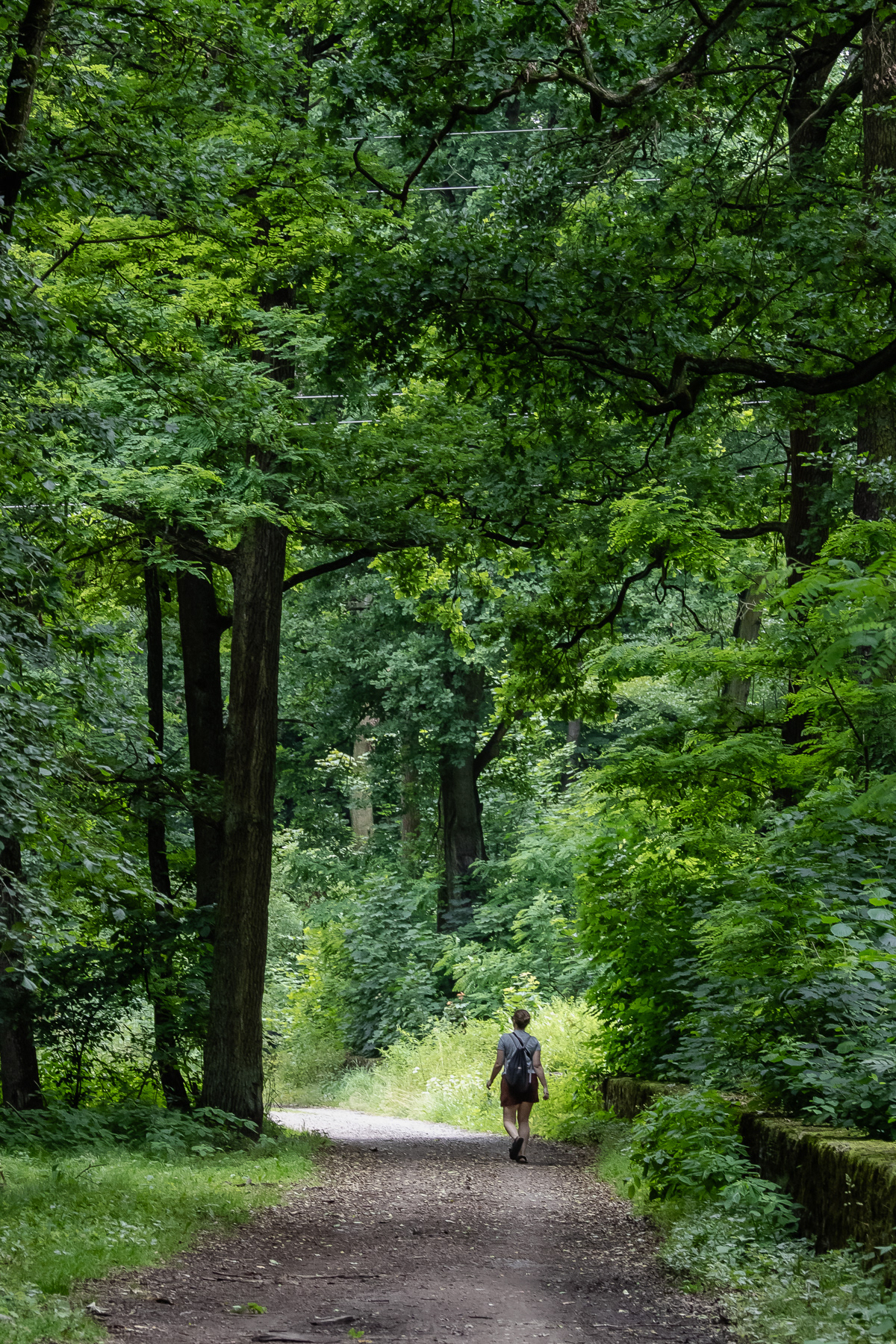 Trails to walk ...