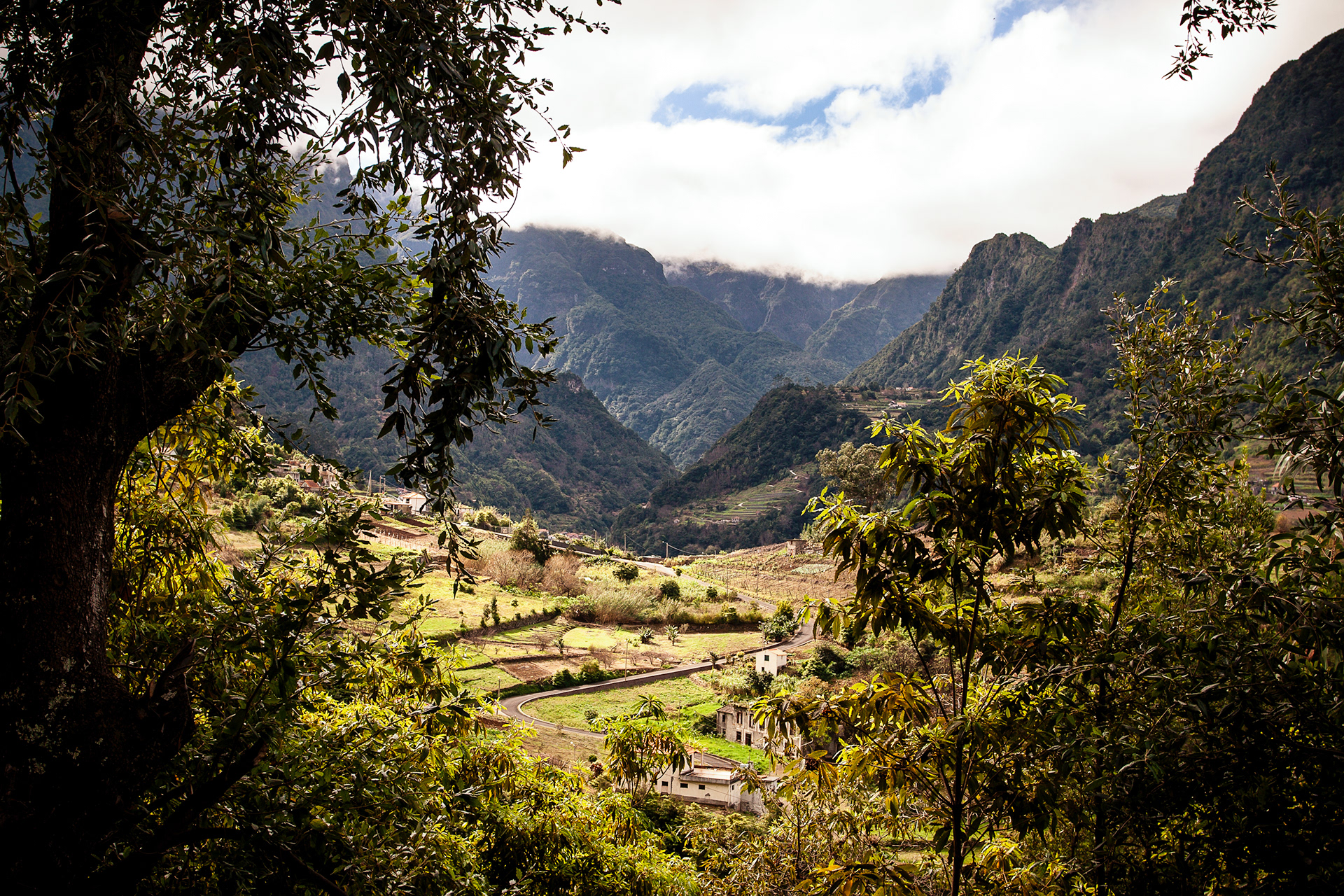 A valley near Faial, Madeira