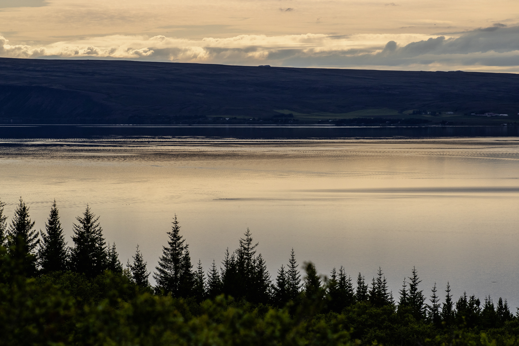 The sizeable lake Thingvallavatn in Thingvellir National Park near sunset, July 2025