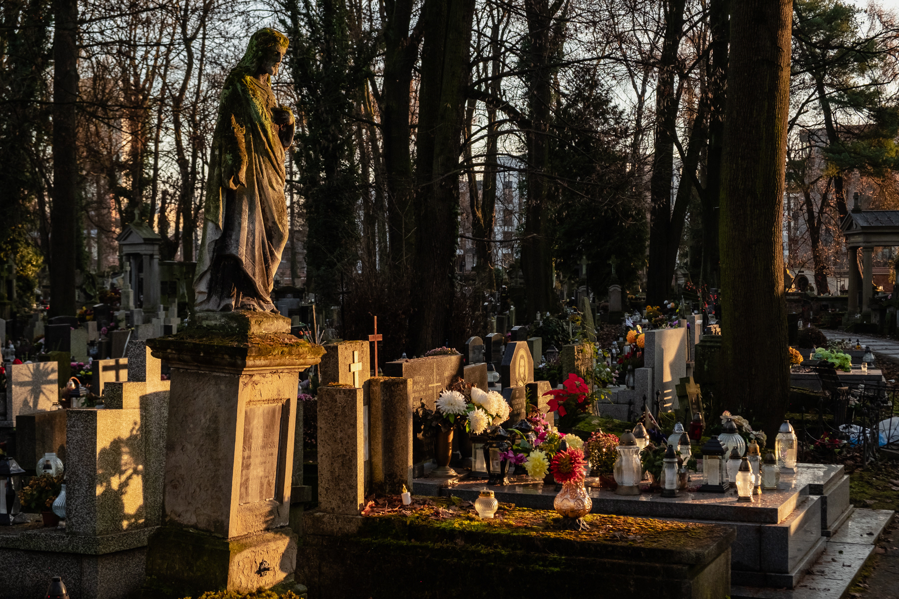 Cemetarz Rakowicki, Kraków, December 2025.