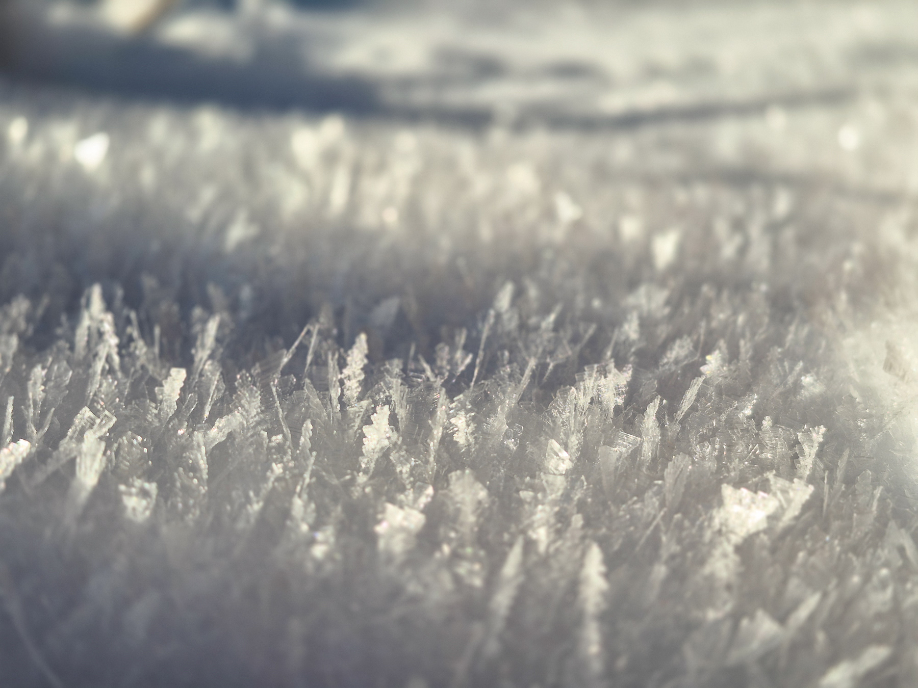 Close-up of feather-looking snow.