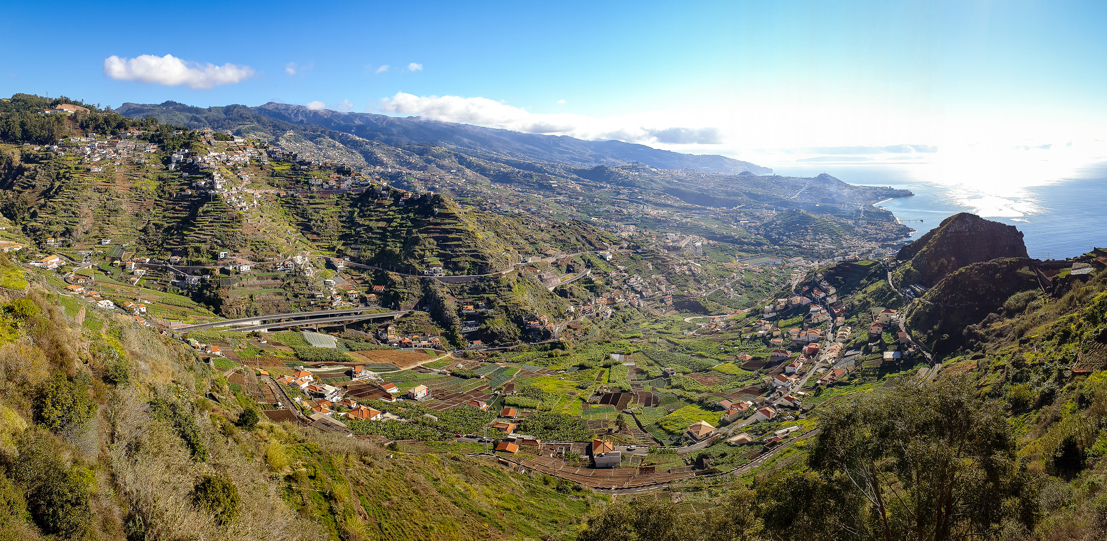 Outskirts of Câmara de Lobos, Madeira