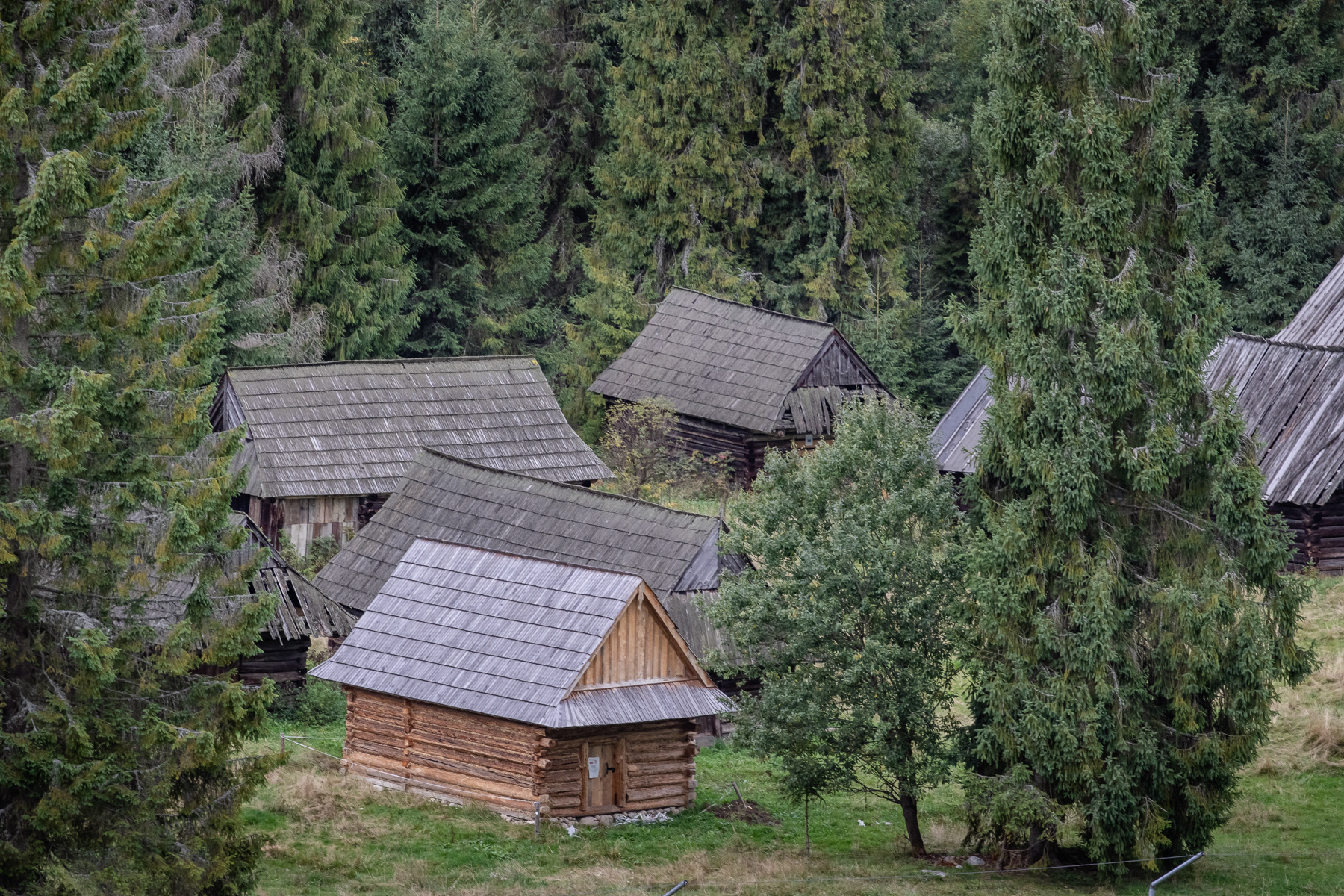 Traditional wooden shepherd huts, just south of Jurgów.