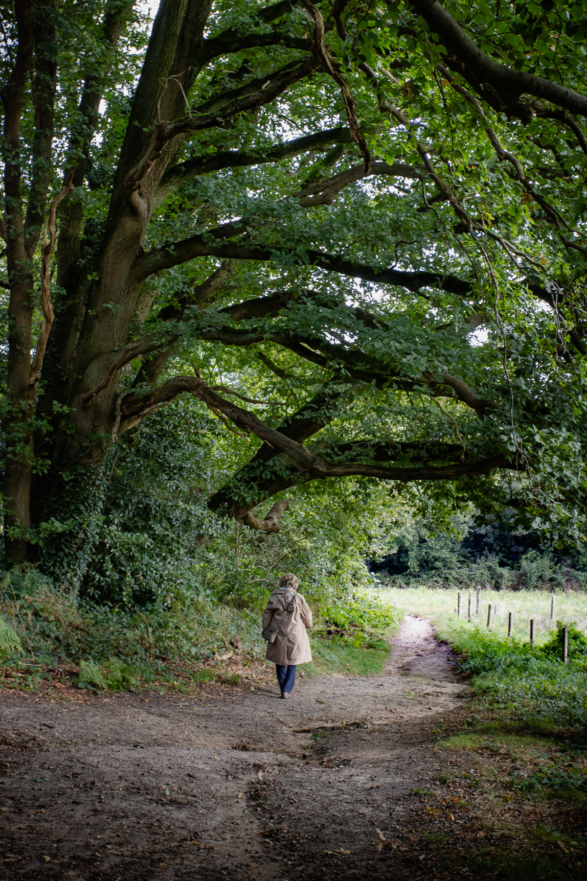 A woman walking underneath a big tree