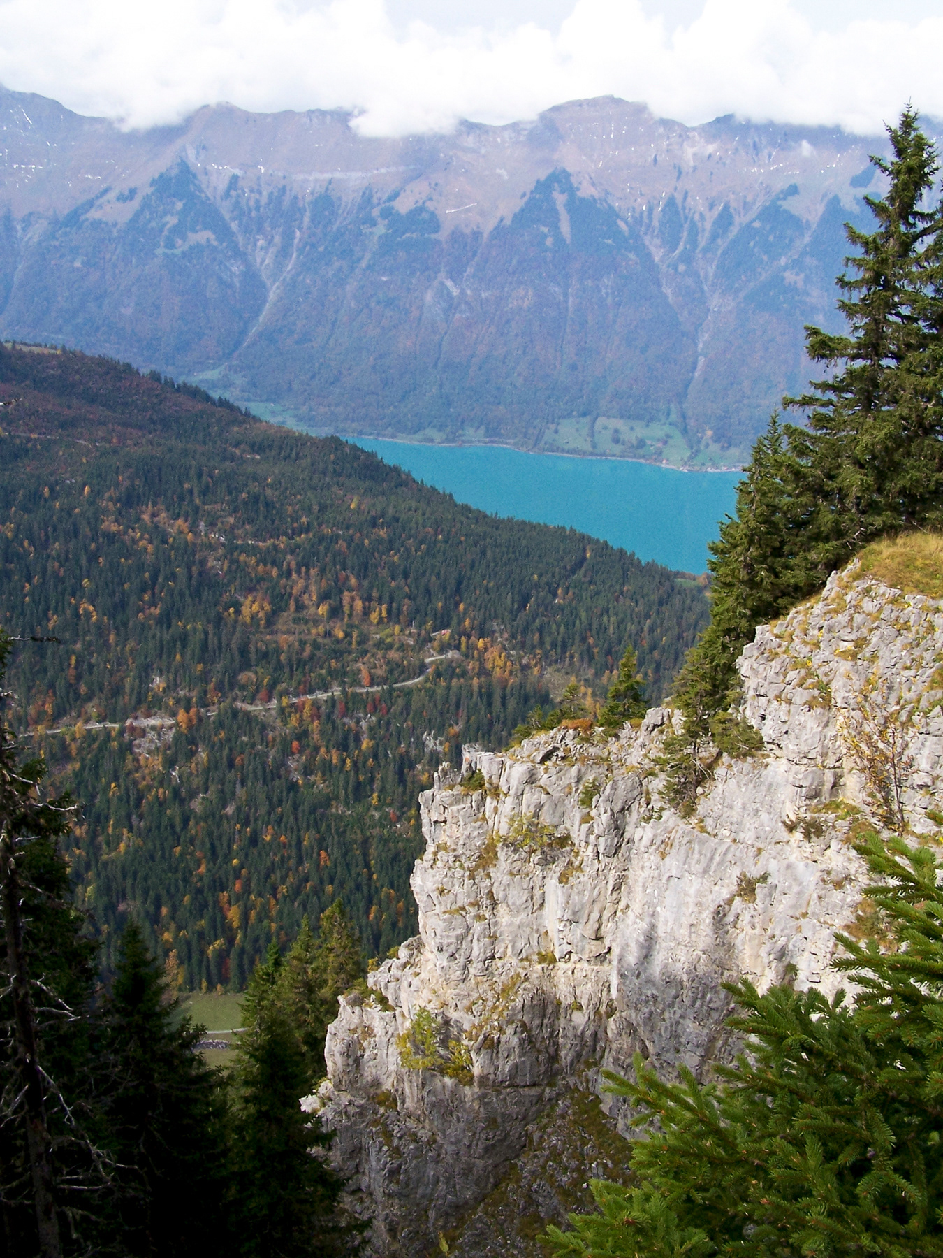 View towards the Brienzersee.