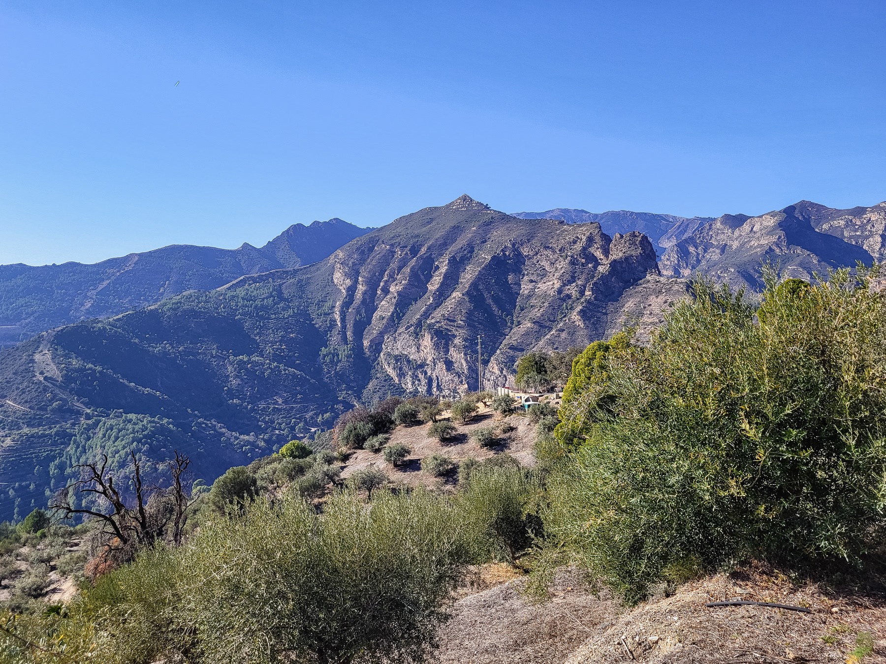 The inner landscape of Andalusia, somewhere between the coast and Granada.