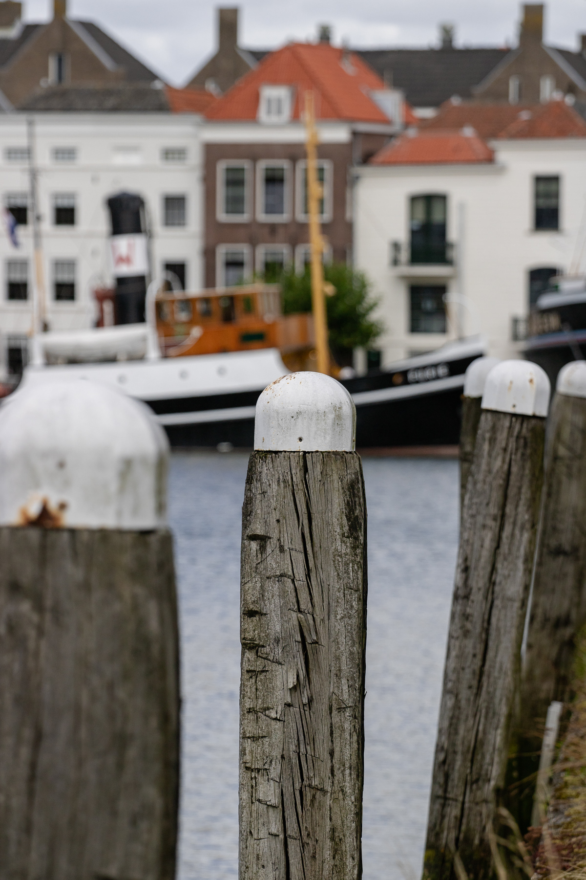 Whit tipped moaring posts.