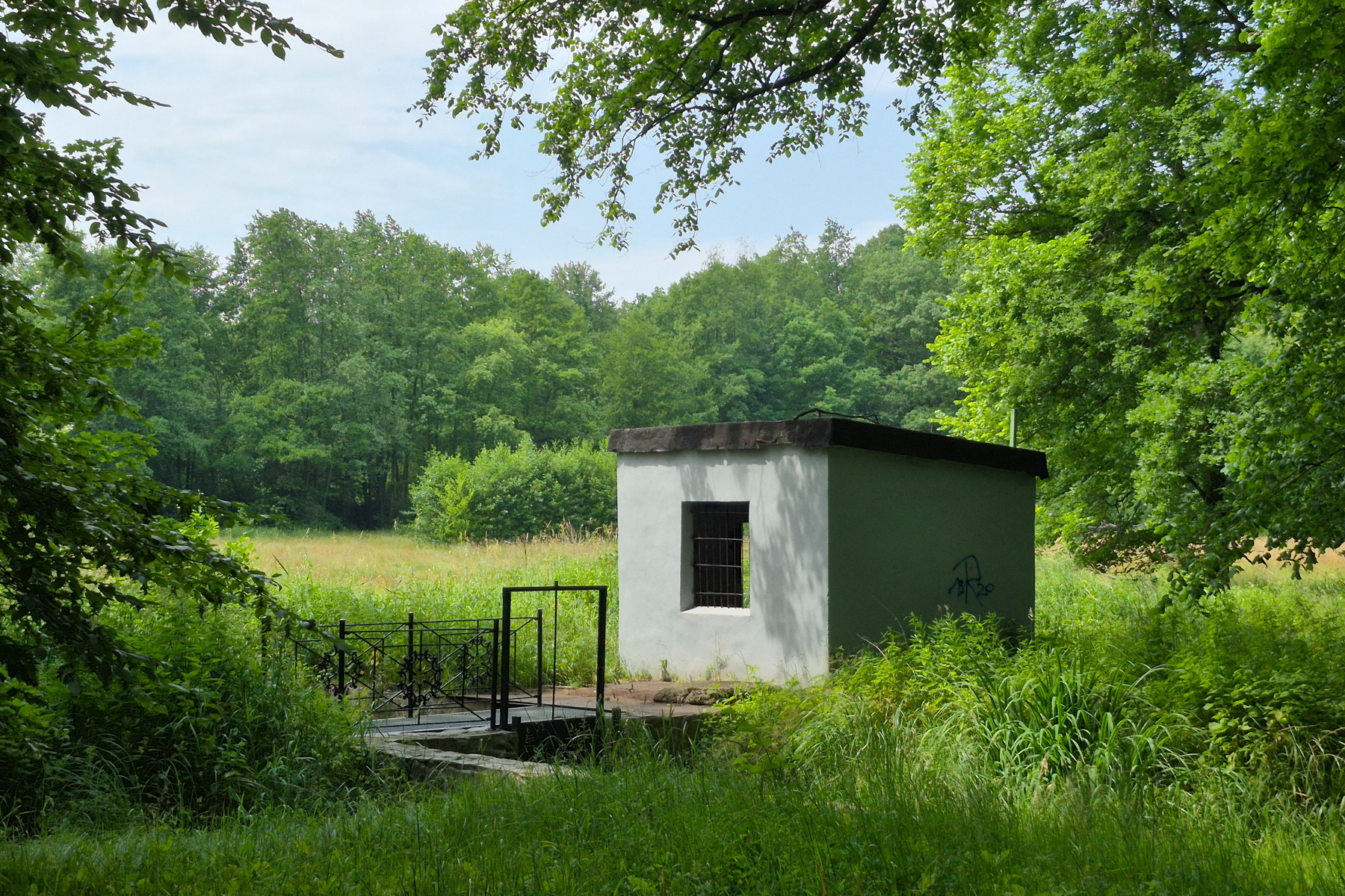 At the eastern edge of Park Zwierzyniec