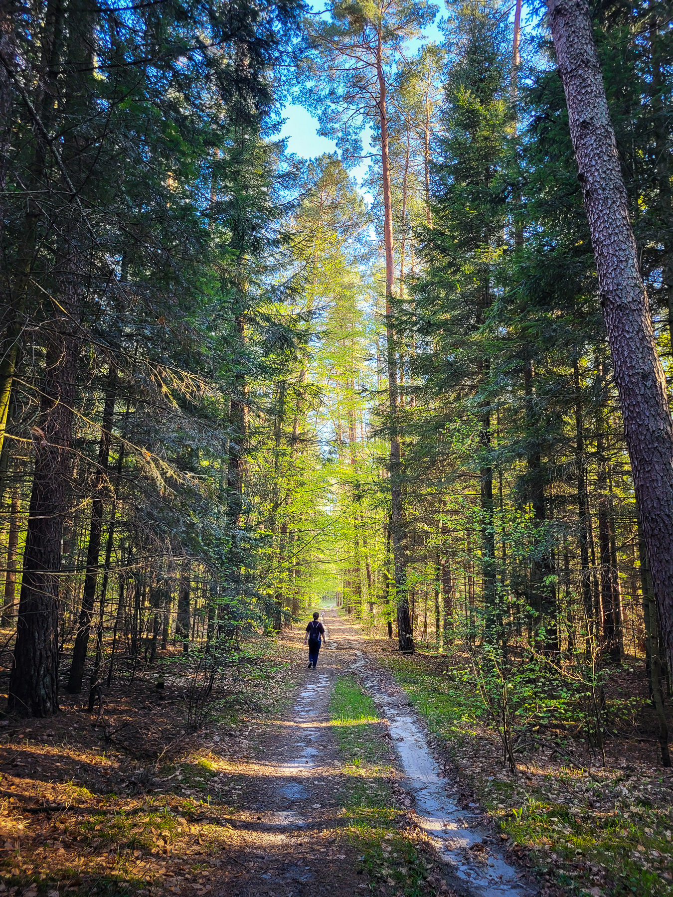 Roztocze National Park near Zwyrzieniec, April 2025.