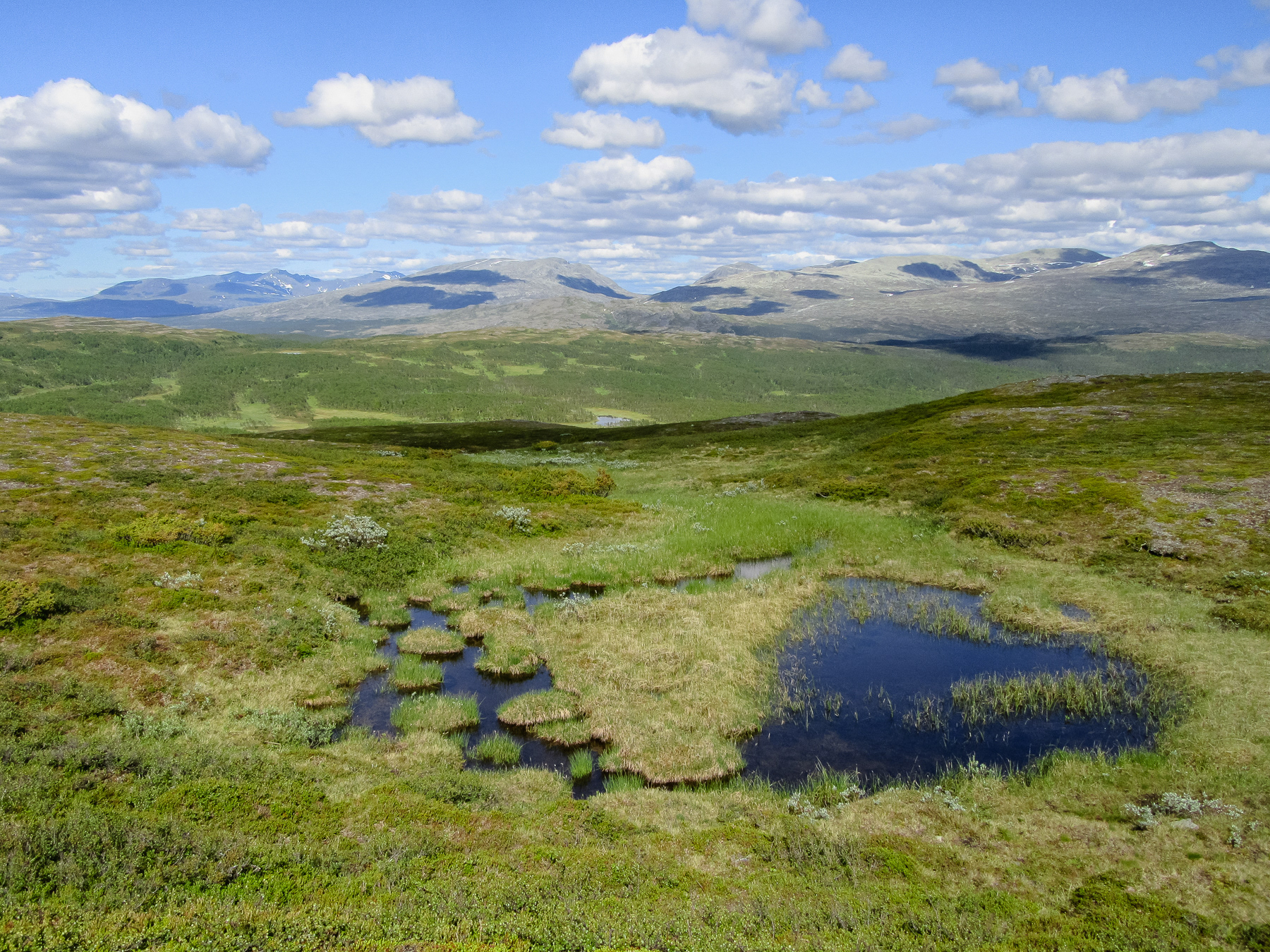 A tiny mountain lake with mountains in the backdrop.