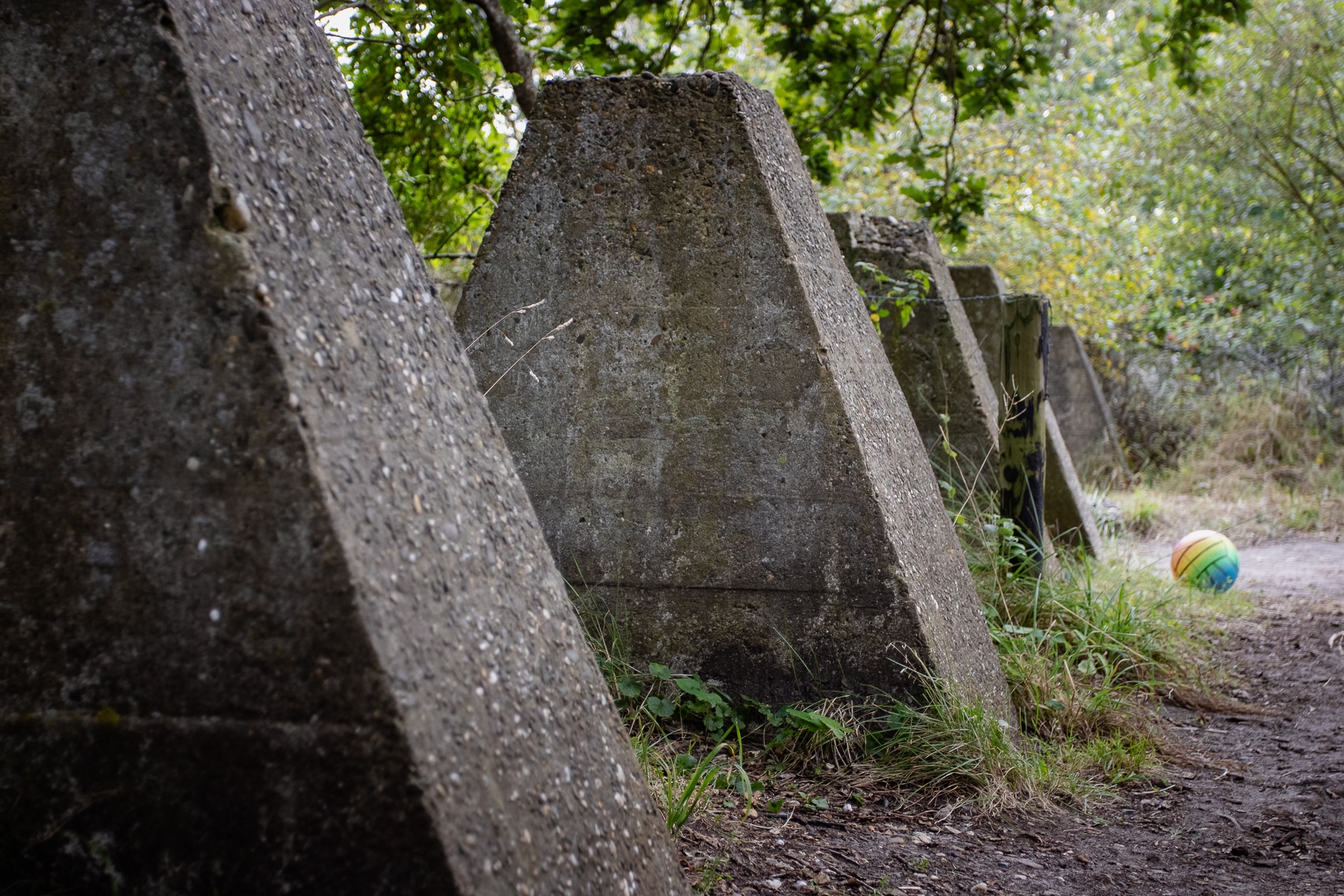 "Dragon teeth" were meant to stop enemy tanks. The Nazi-Germans used them as part of the Antlikwall.