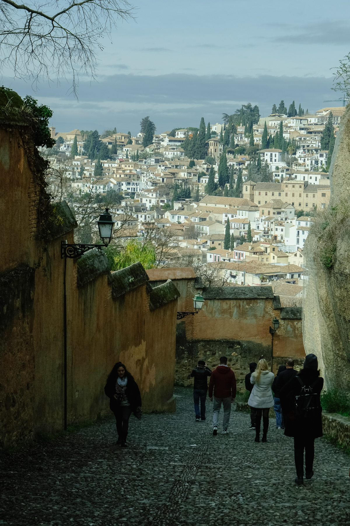 Granada's old town seen from the hill down from Alhambra