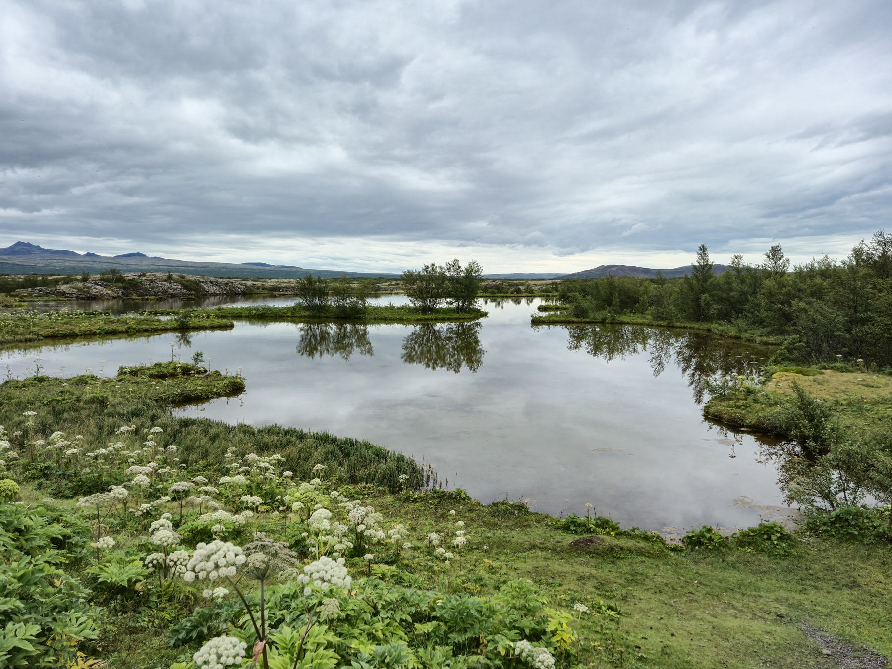 A small lake in Thingvellir National Park.
