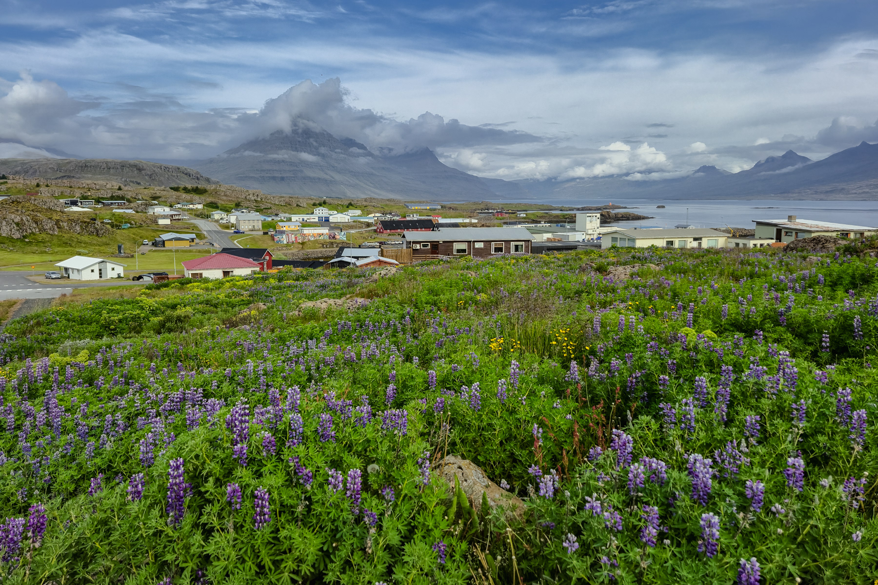 Djúpivogur in the morning, July 2025