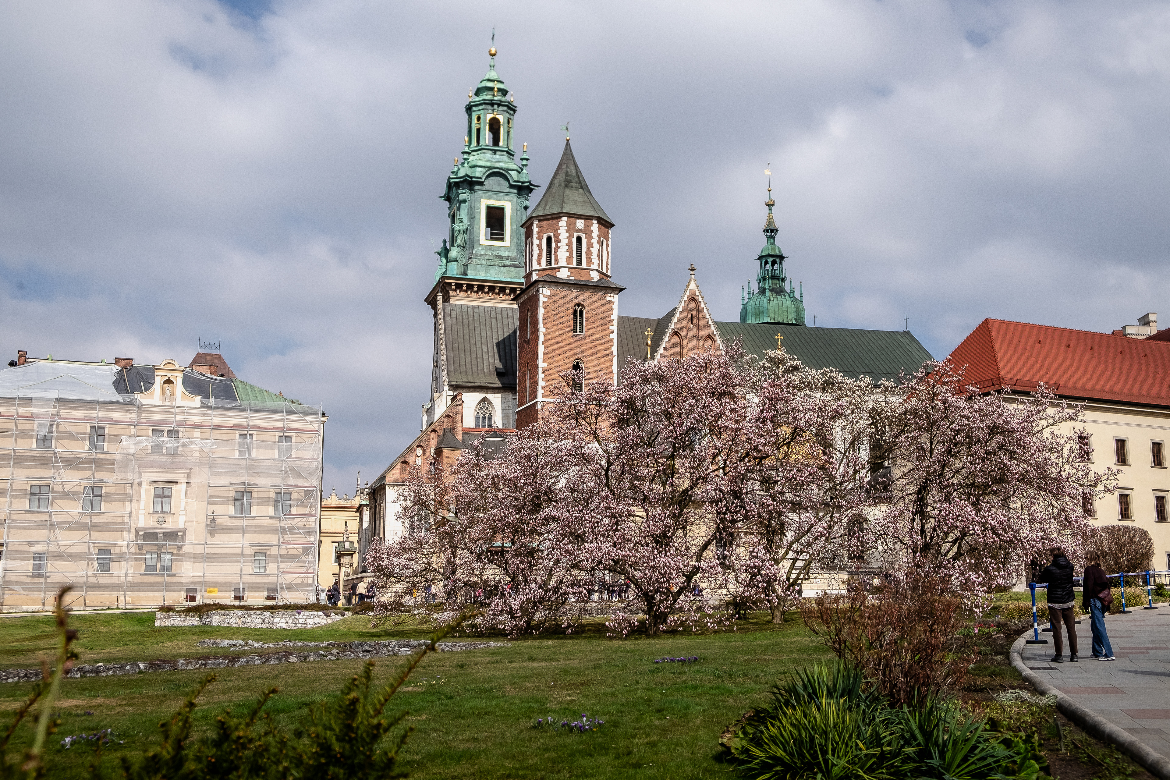 The Wavel Cathedral, March 2025.