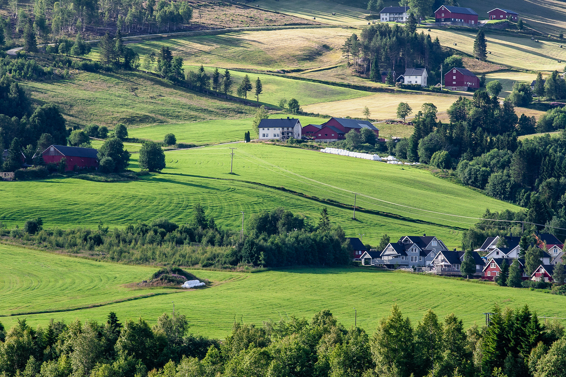 The green fields near the houses are kept nice and neat.