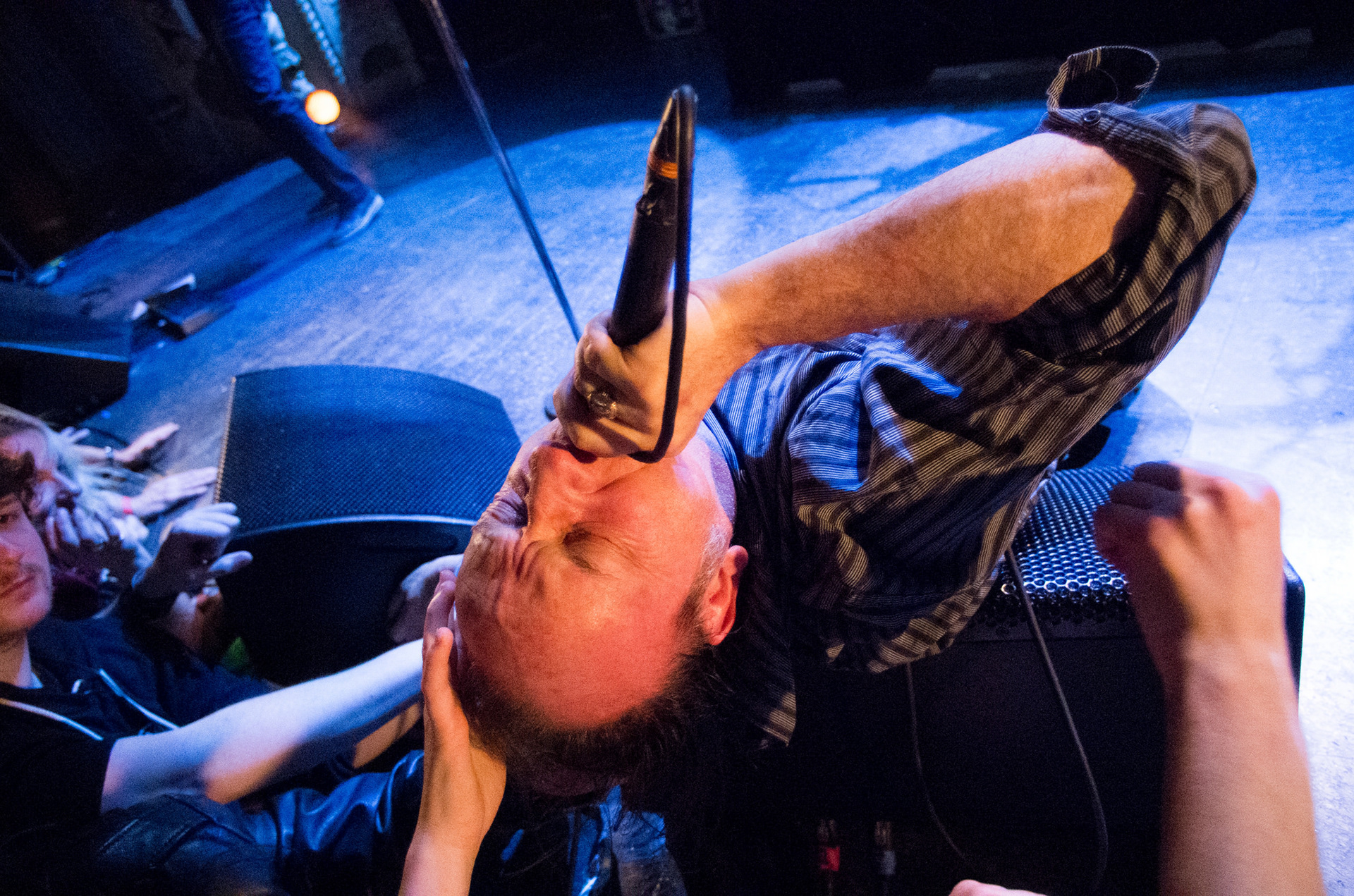 The Jesus Lizard
