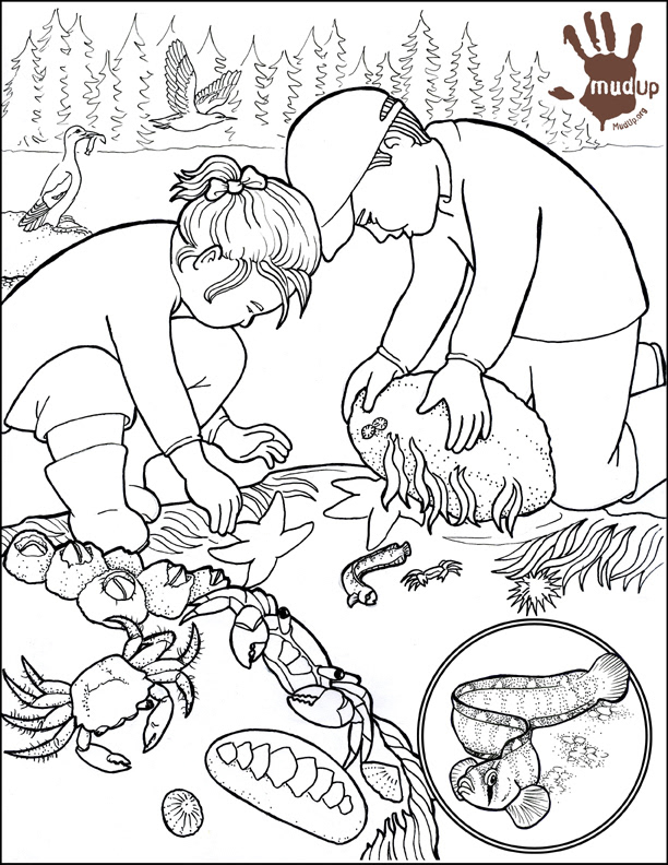 "Puget Sound Tide Pool" Trust for Public Land Mudup Program
