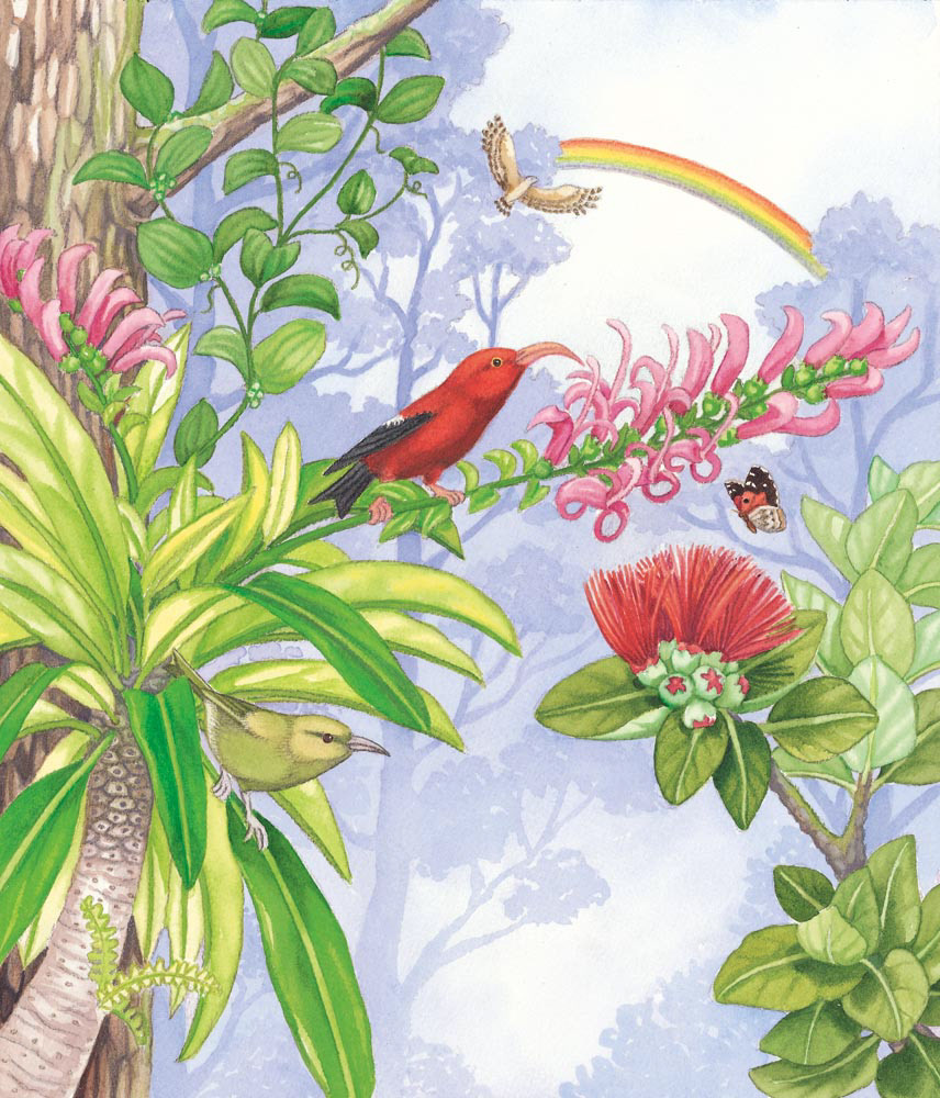 "A is for Aloha" Sleeping Bear Press