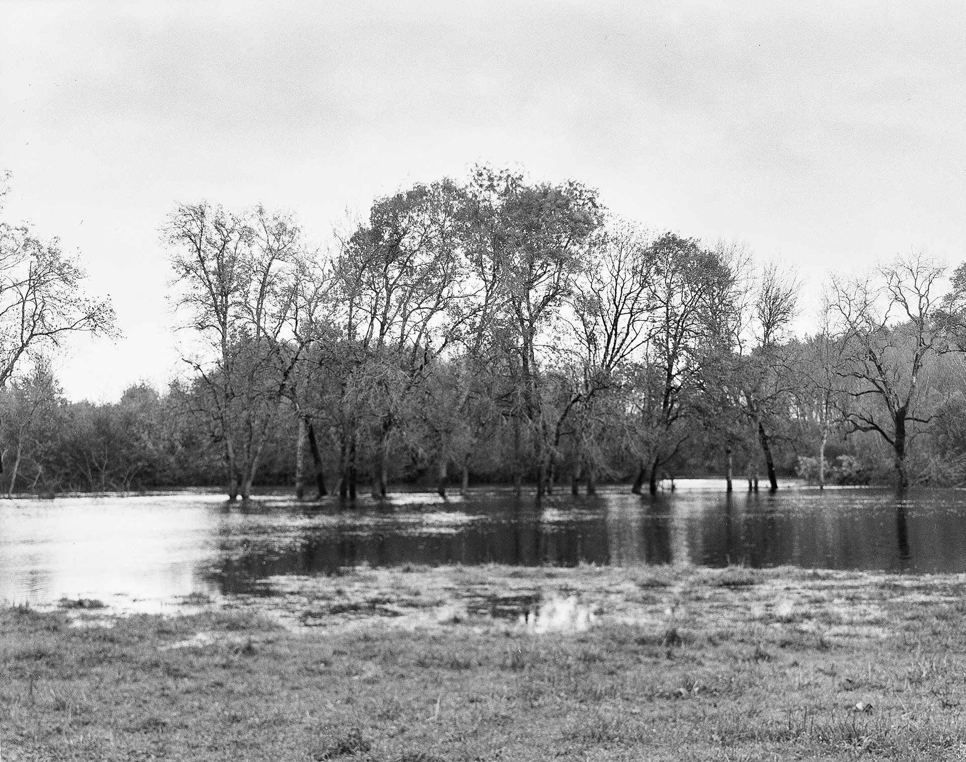 Chemin de la Coulée Verte (Saint-Yrieix sur Charente) La Communauté d’agglomération de GrandAngoulême a aménagé cette voie douce dédiée aux piétons et aux cyclistes le long du fleuve Charente en 1997. Longue d’une vingtaine de kilomètres, du plan d’eau de Saint-Yriex sur Charente jusqu’à Nersac, elle traverse Angoulême. La balade emprunte une partie de l’ancien chemin de halage qui permettait la traction humaine ou animale des gabares (bateaux à voiles à fond plat et mât rétractable) remontant le fleuve au XVIIIe et au XIXe siècle.