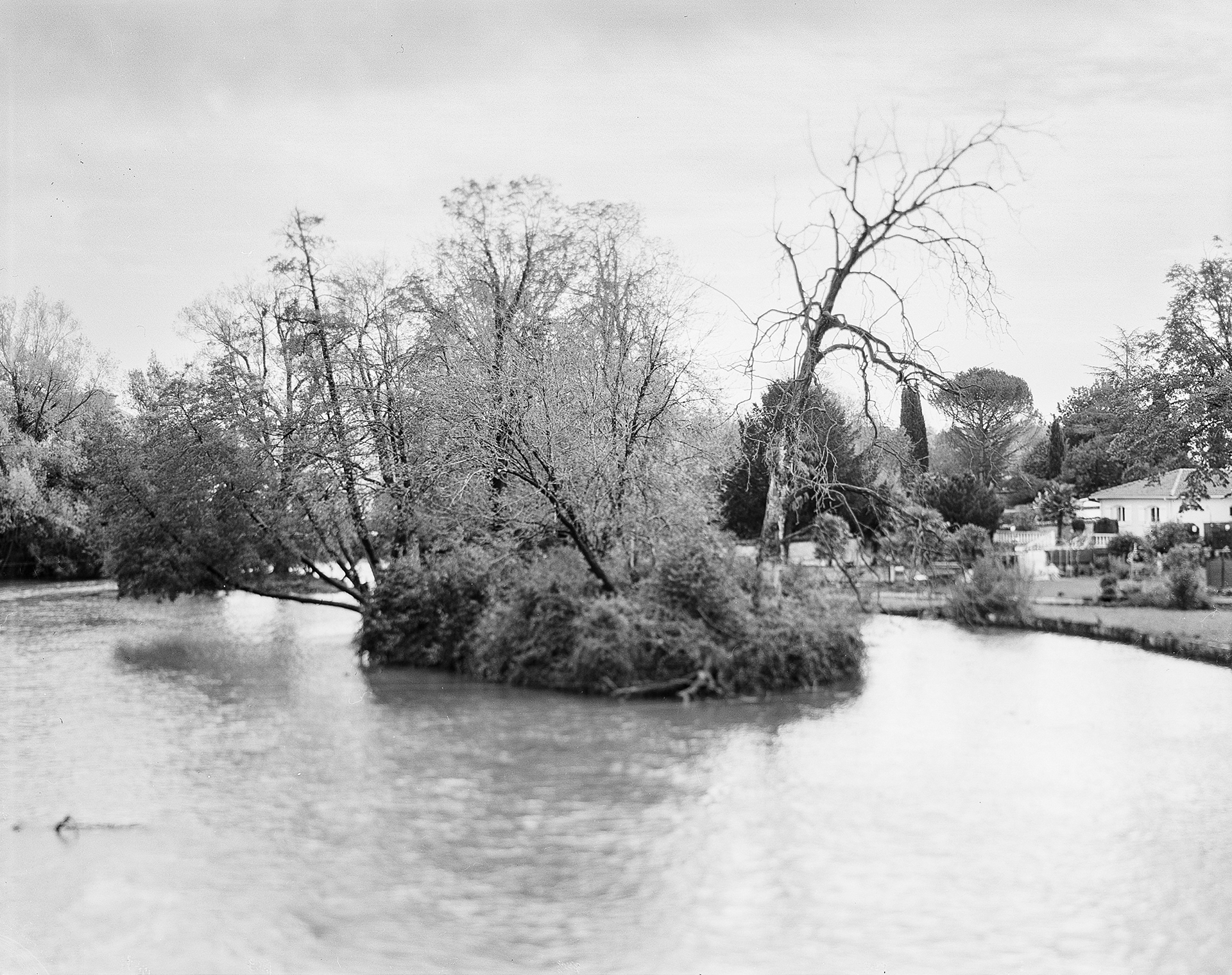 Bords de la Touvre (Touvre) La Touvre, longue de moins de 12 kilomètres, est un affluent de la Charente. Ses sources sont formées de quatre résurgences : Le Bouillant, Le Dormant, La Font Lussac et La Lèche. Son débit très important (moyenne annuelle de 13m3/s) a assuré la navigabilité sur la Charente à partir de la confluence avec le fleuve et permis l’implantation de nombreux moulins, papeteries ainsi que la Fonderie de Ruelle. Sa température, invariable entre 8 et 12 degrés, en fait également un paradis pour les pêcheurs de truite.